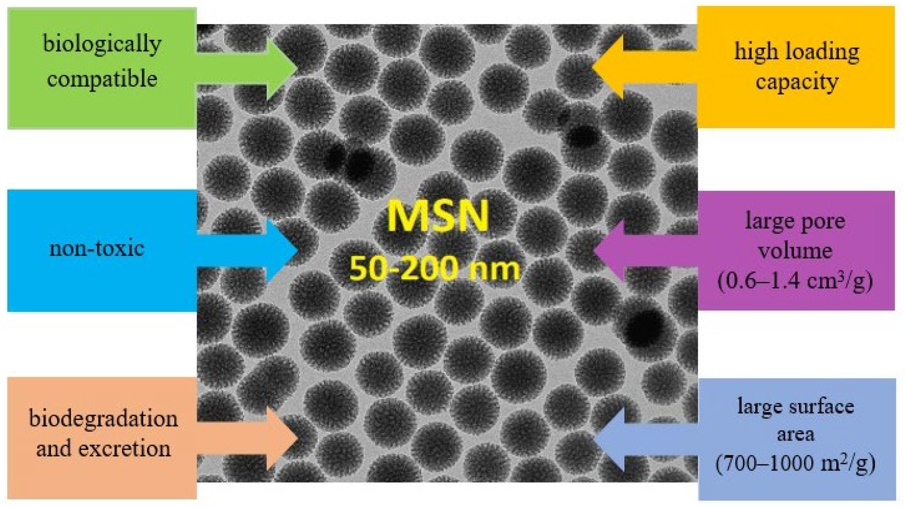 Polymers 16 01105 g007