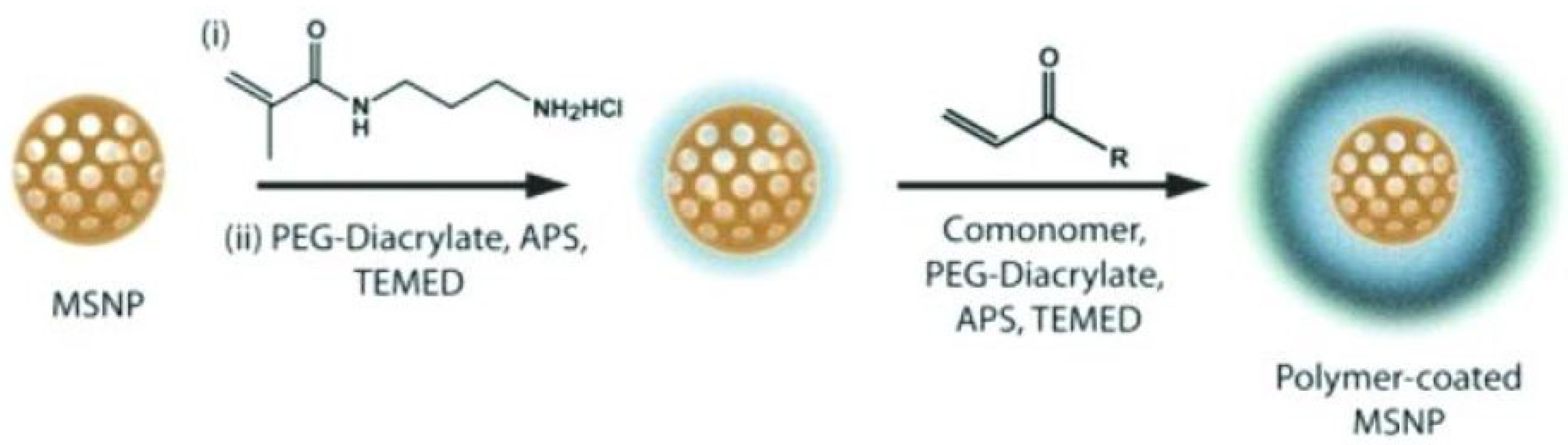 Polymers 16 01105 g011