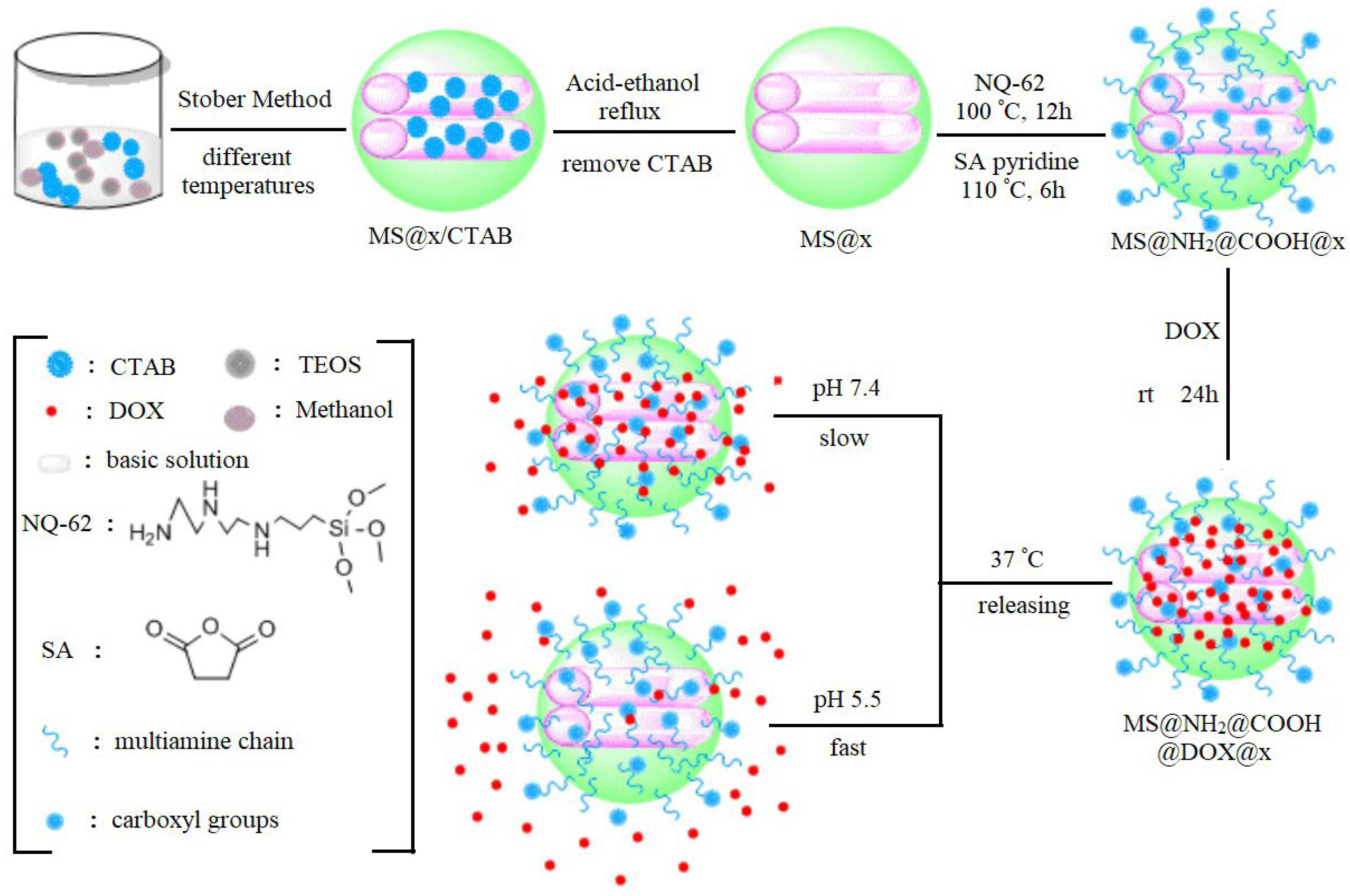 Polymers 16 01105 g012