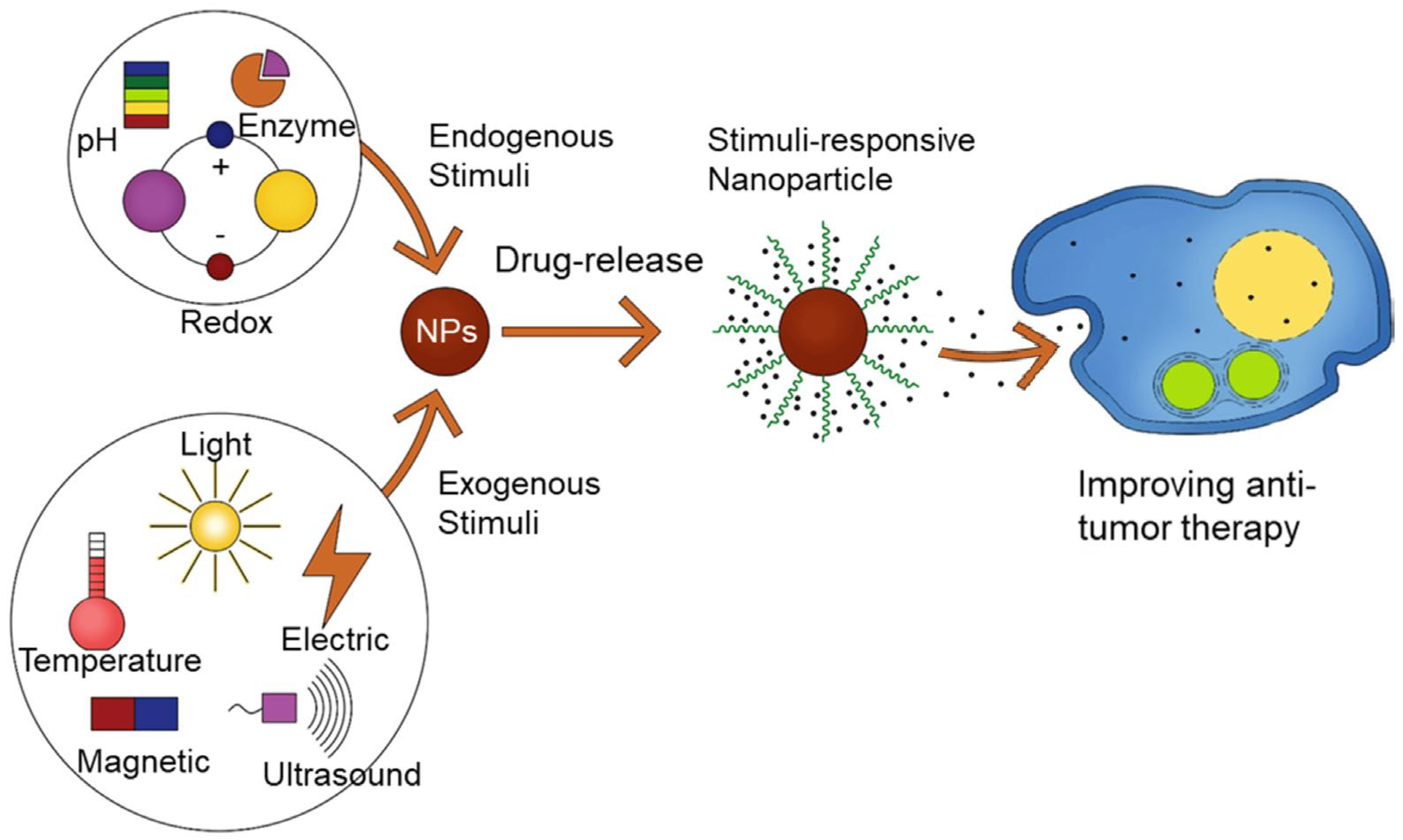 Polymers 16 01105 g013