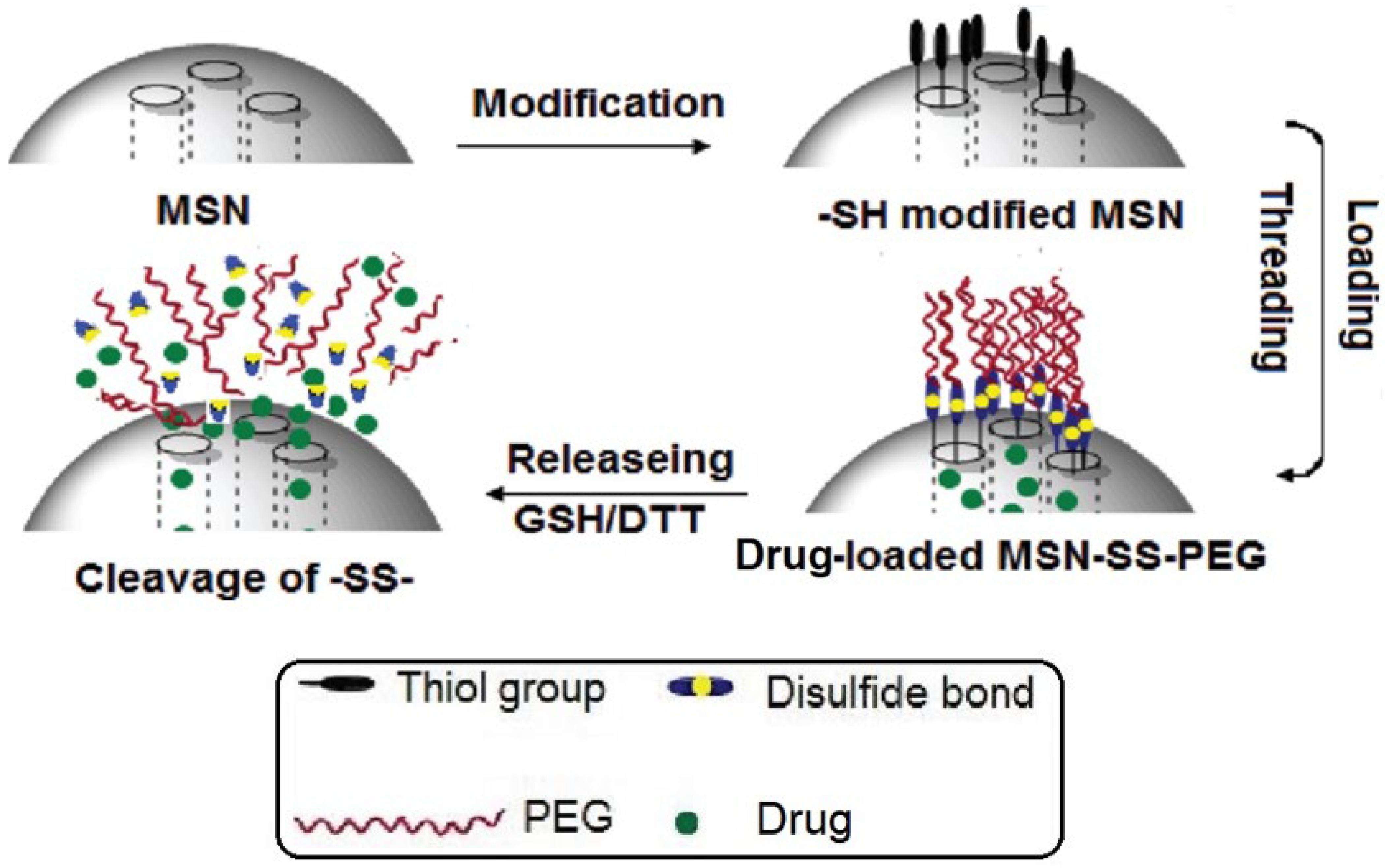 Polymers 16 01105 g015