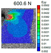 Polymers 16 01106 i004