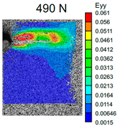 Polymers 16 01106 i008