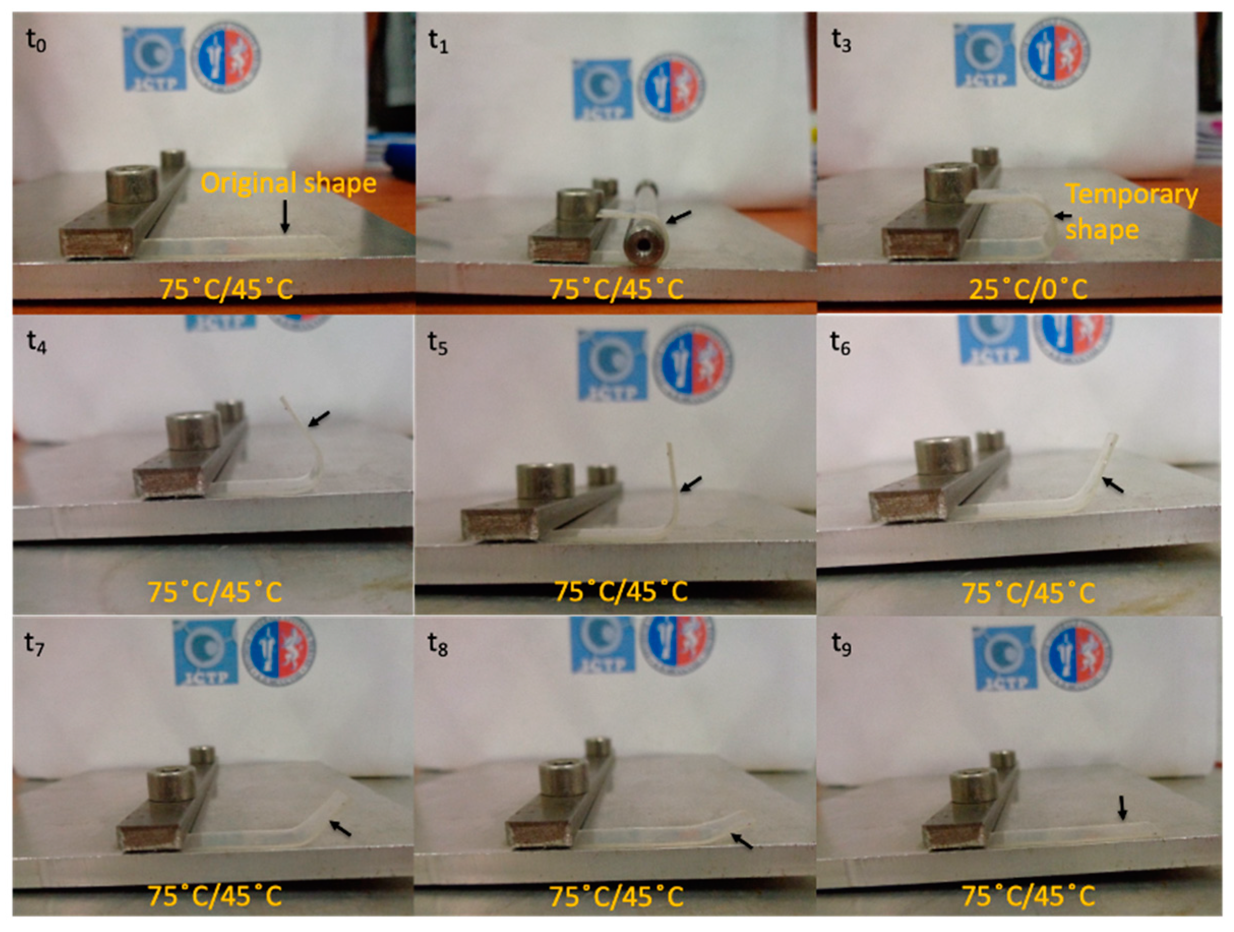 Polymers 16 01107 g007