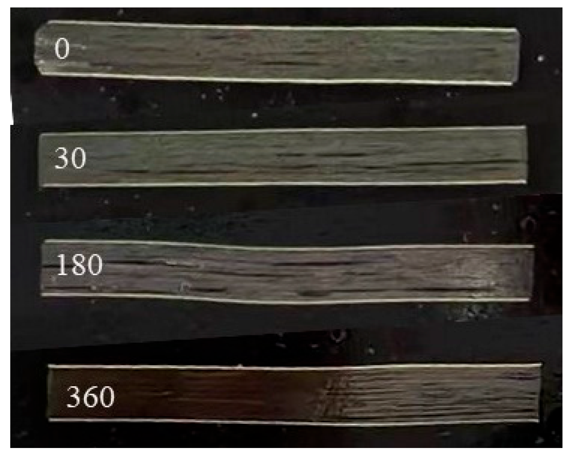 Polymers 16 01109 g008