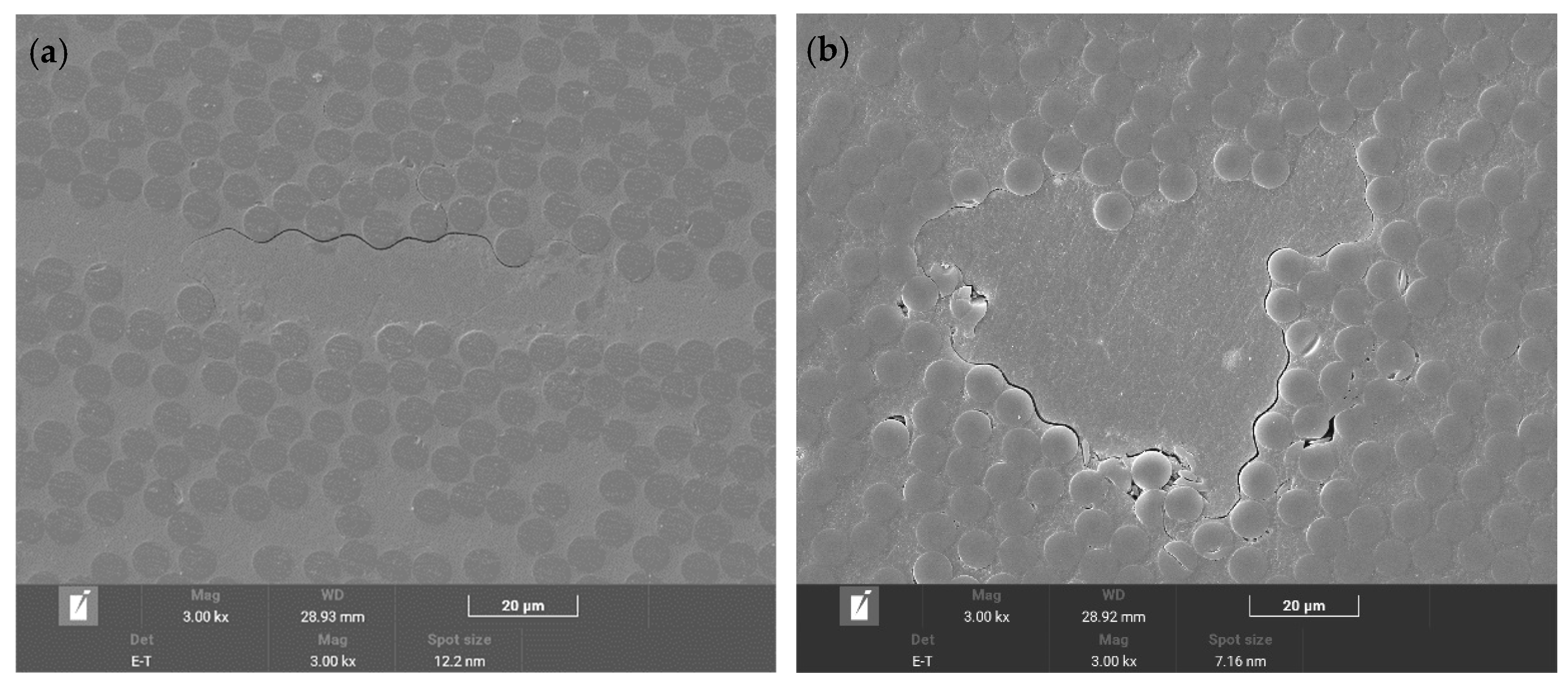 Polymers 16 01109 g009a