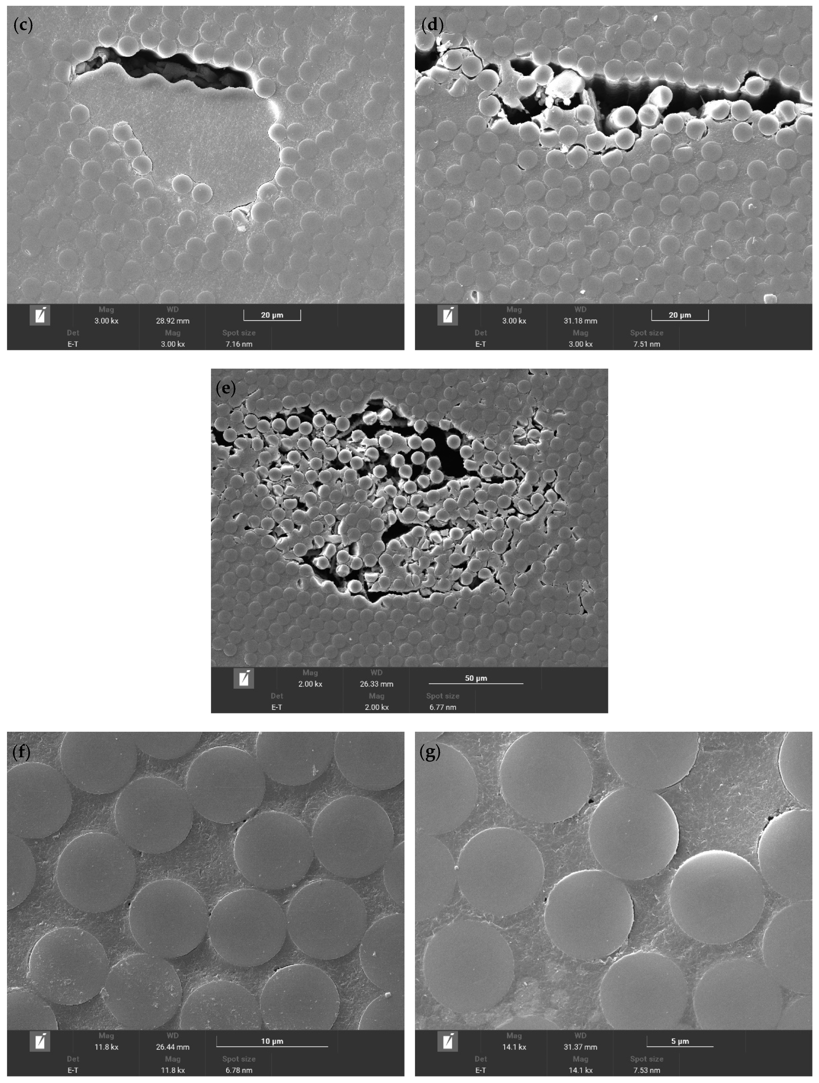 Polymers 16 01109 g009b