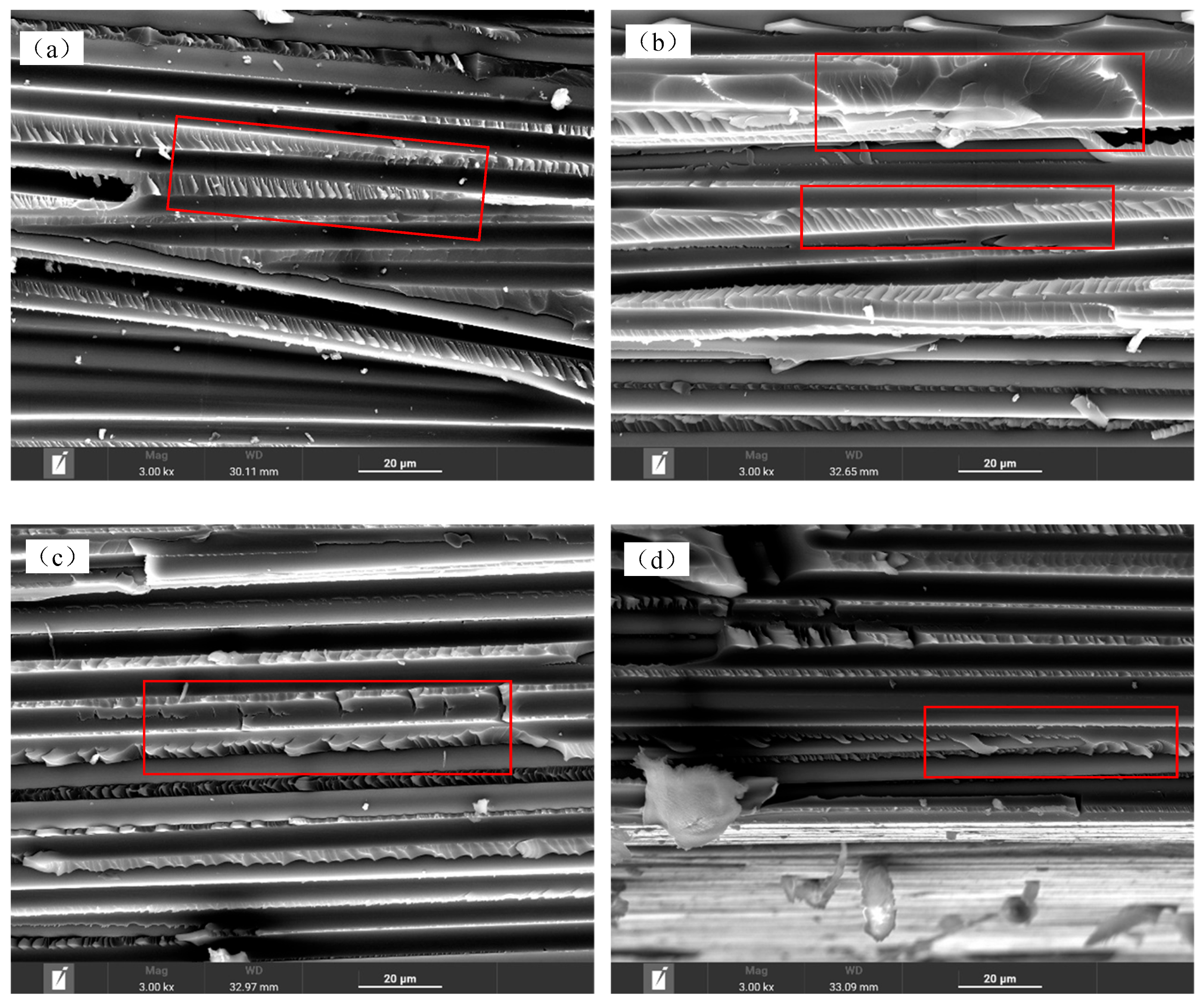 Polymers 16 01109 g010