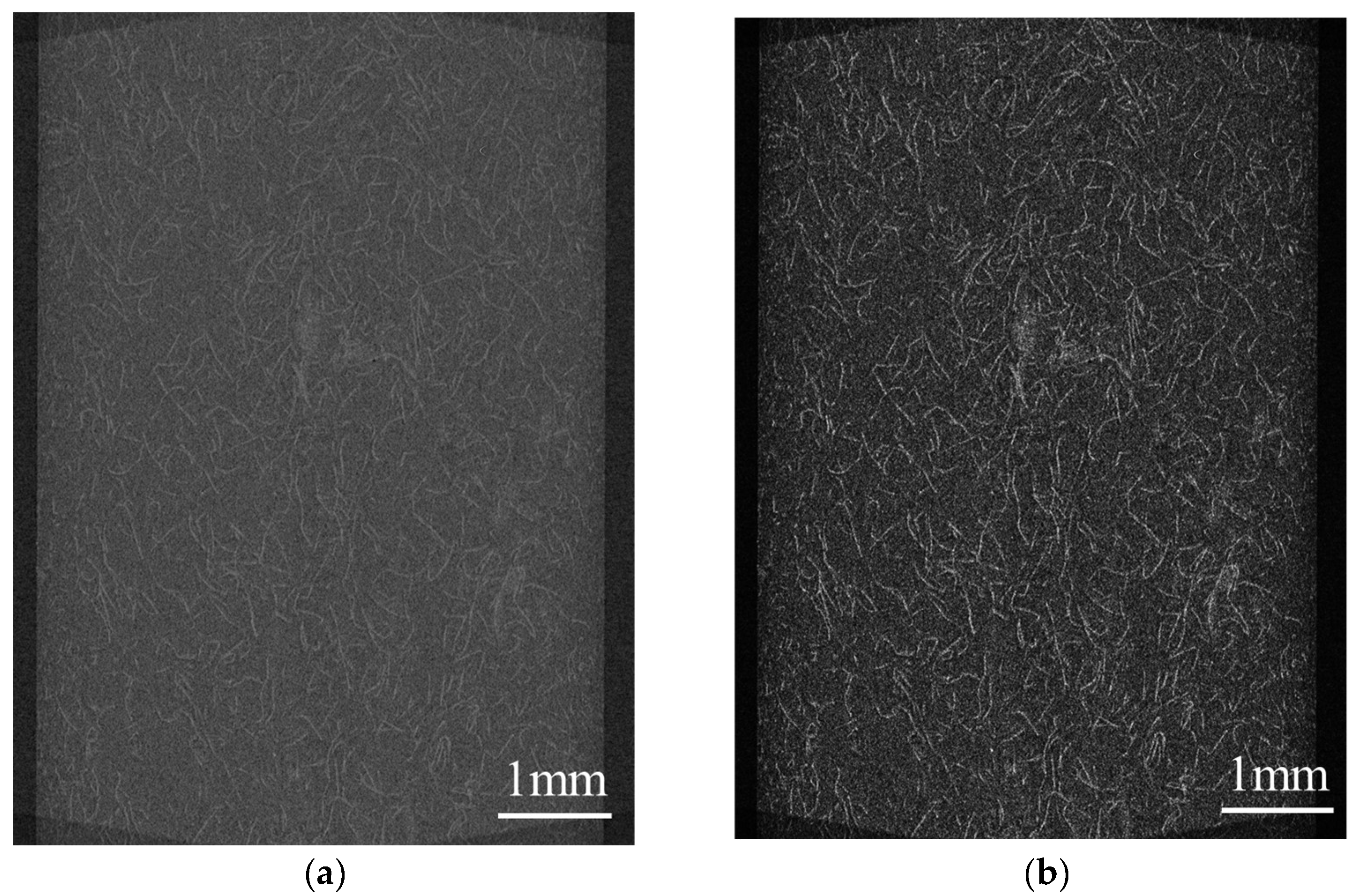 Polymers 16 01110 g004
