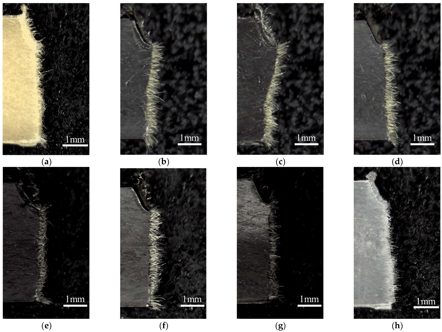 Polymers 16 01110 g012