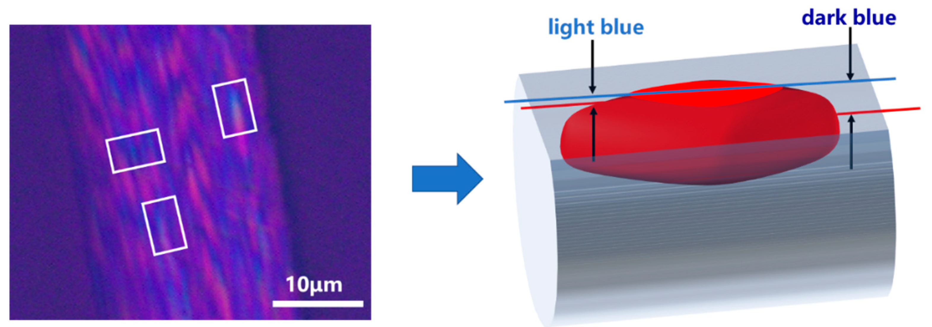 Polymers 16 01114 g004