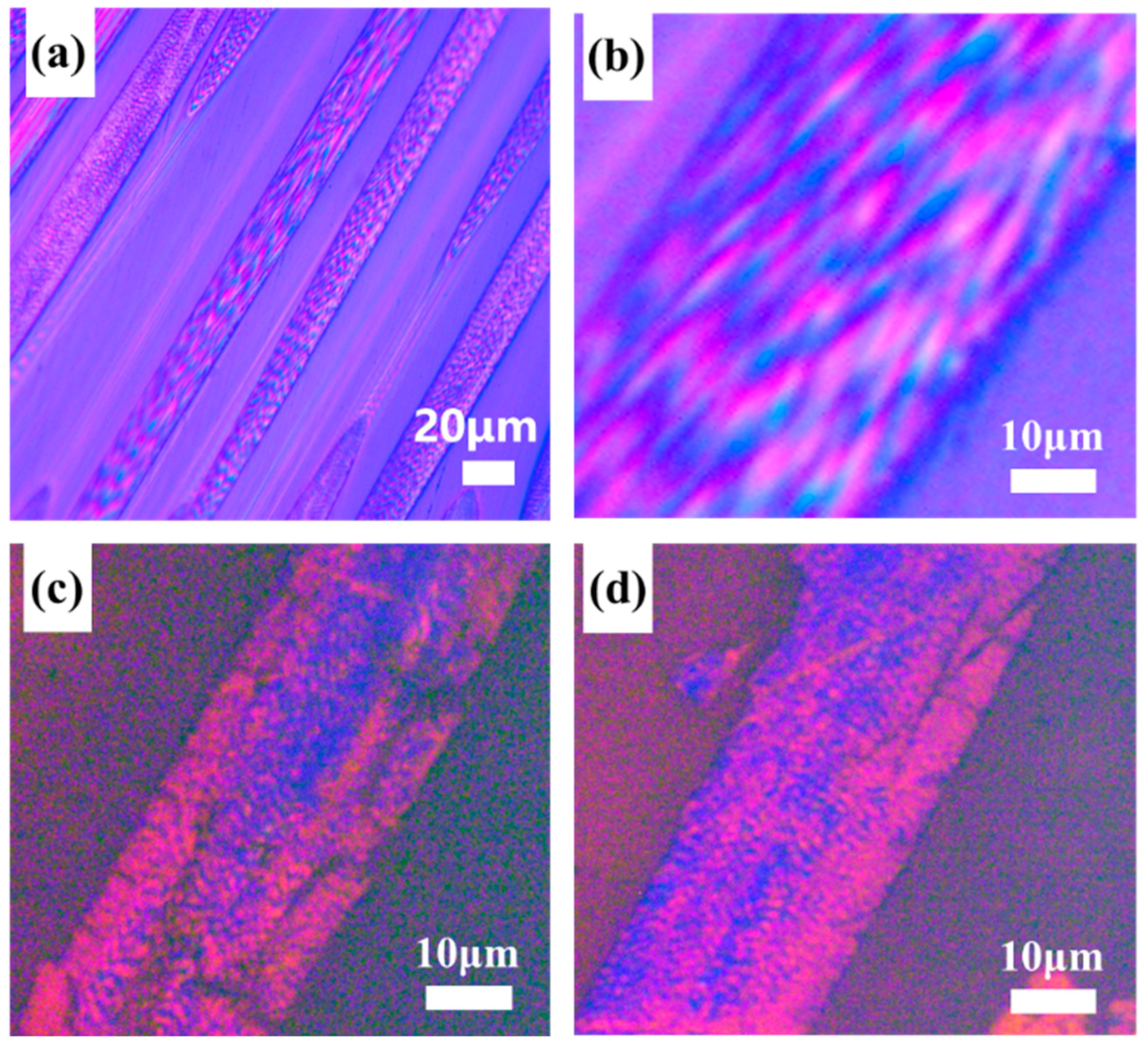 Polymers 16 01114 g005