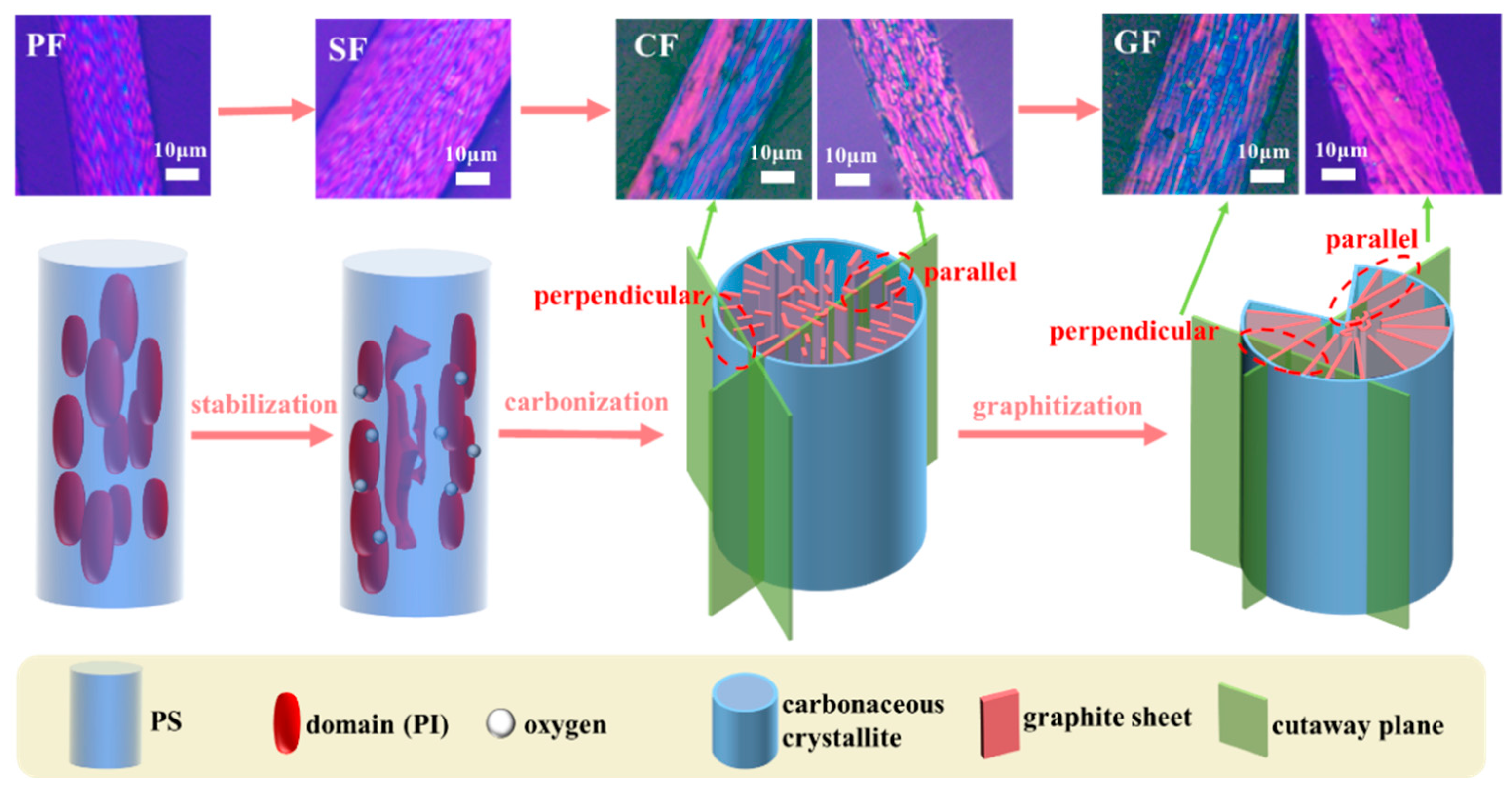 Polymers 16 01114 g006