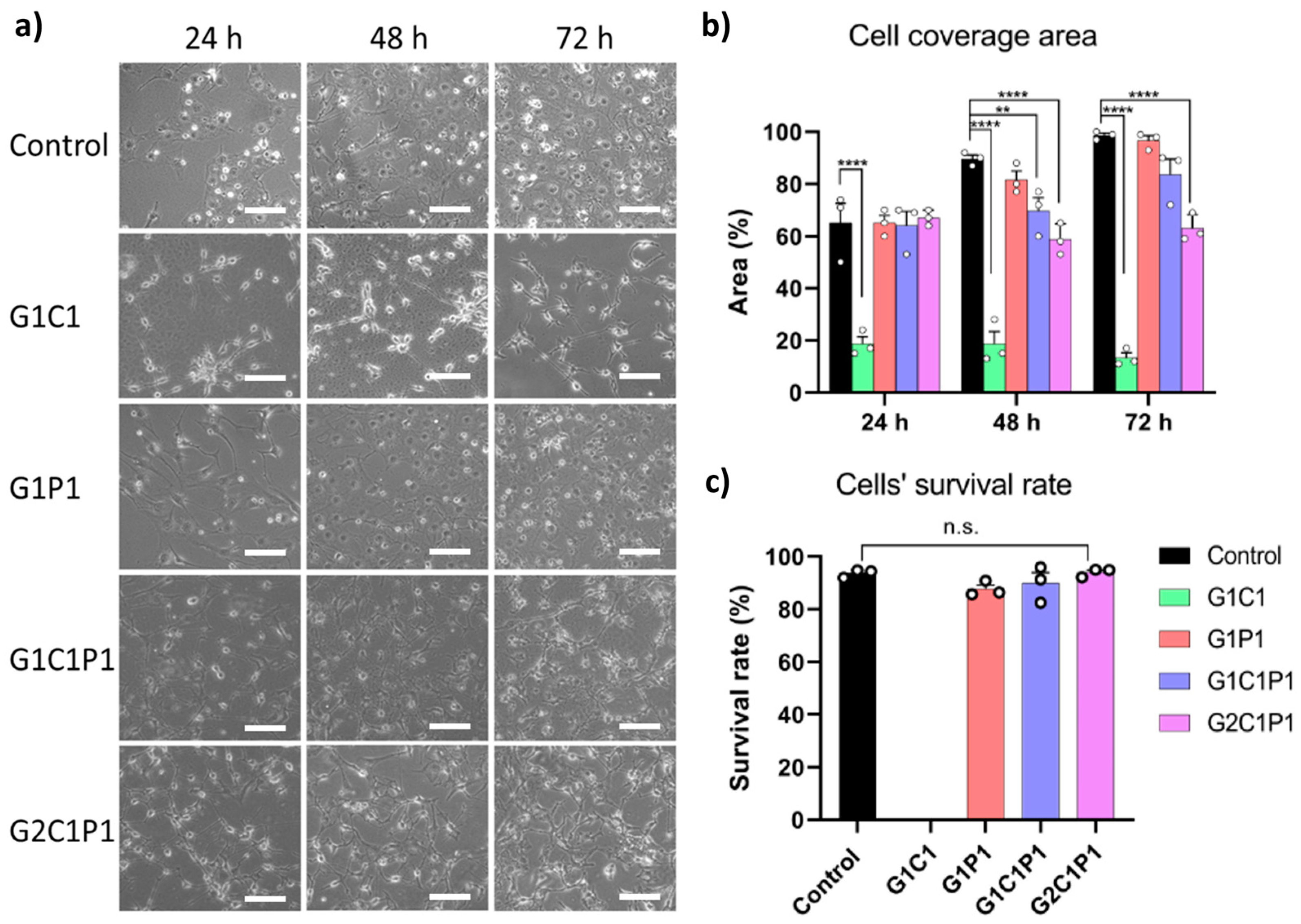Polymers 16 01118 g006