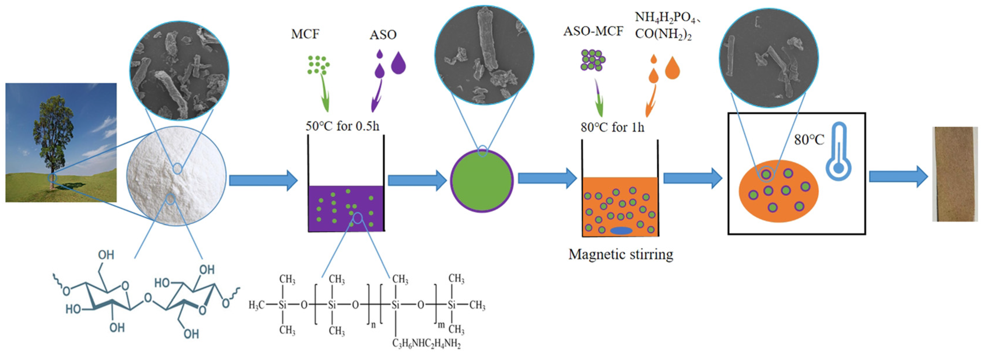 Polymers 16 01123 g001