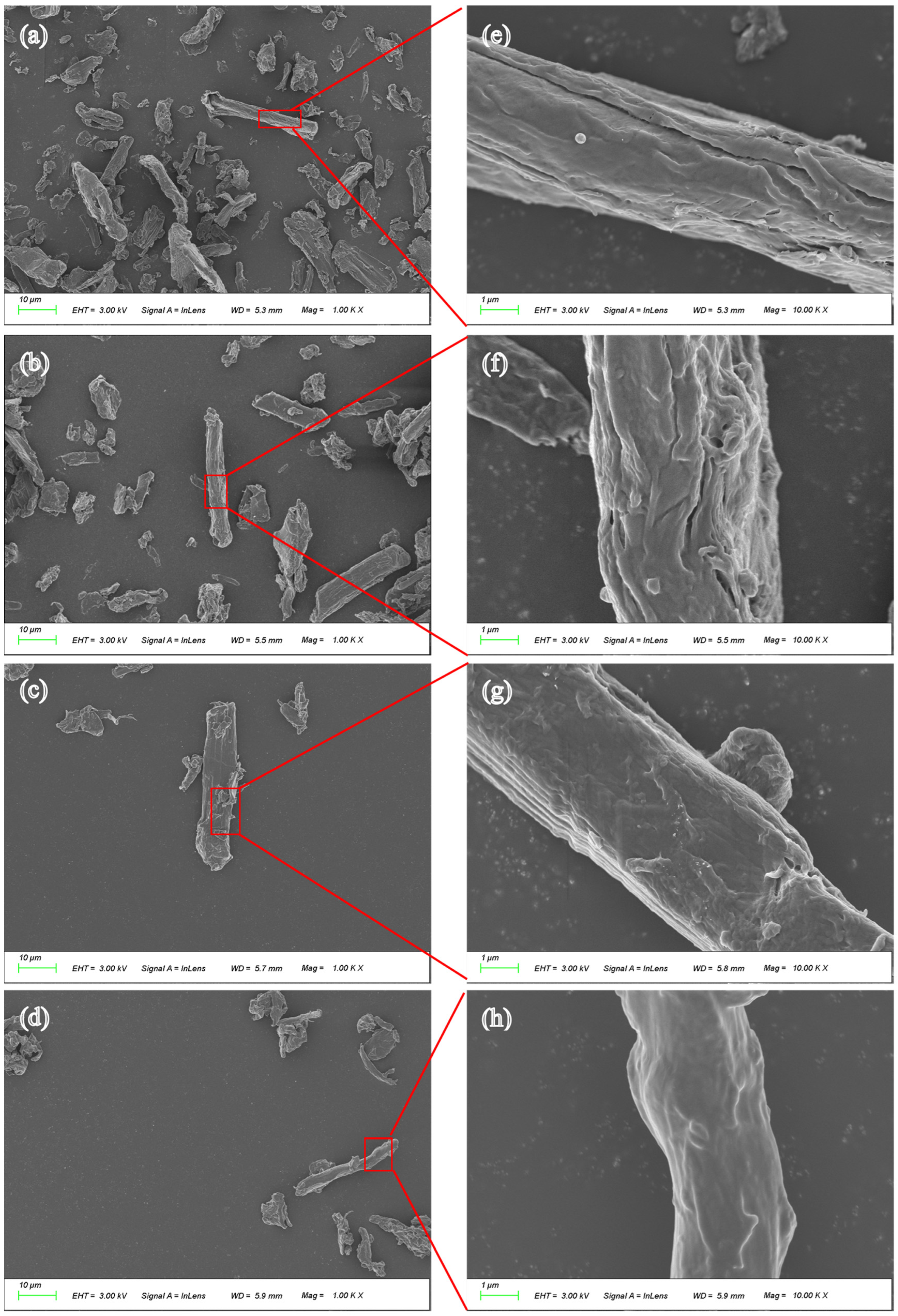 Polymers 16 01123 g005