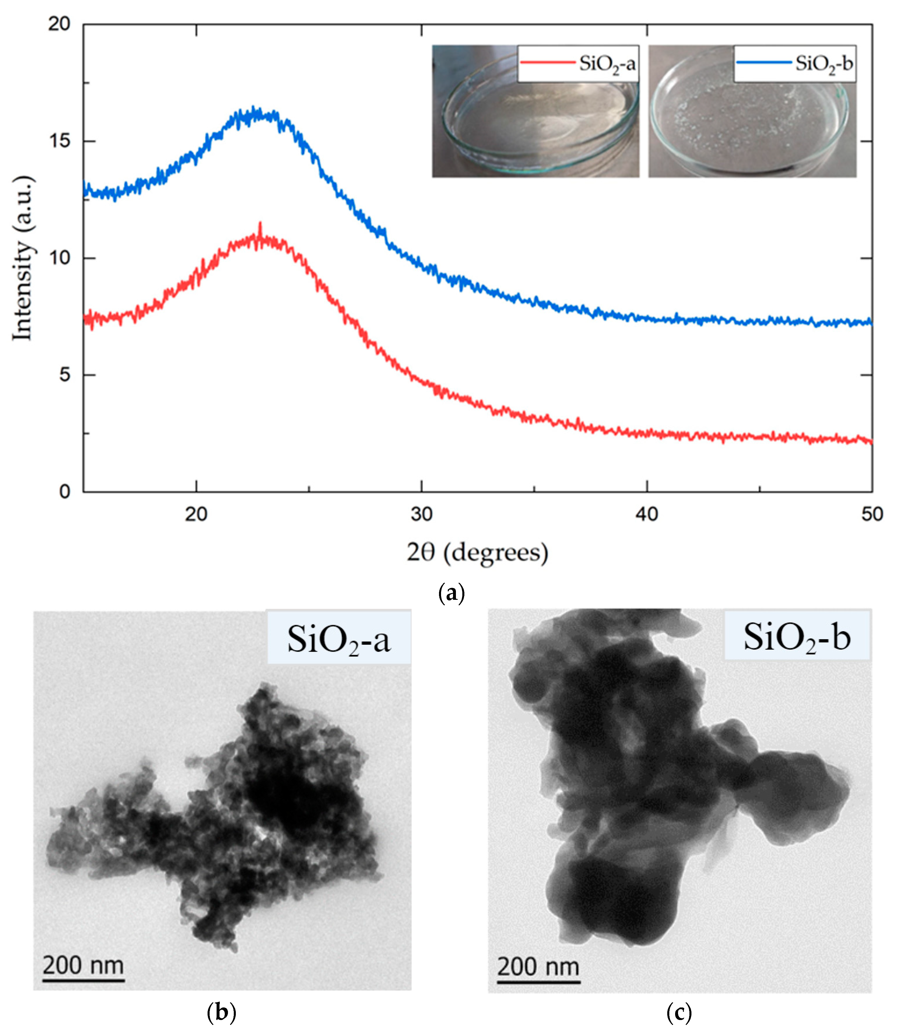 Polymers 16 01125 g001
