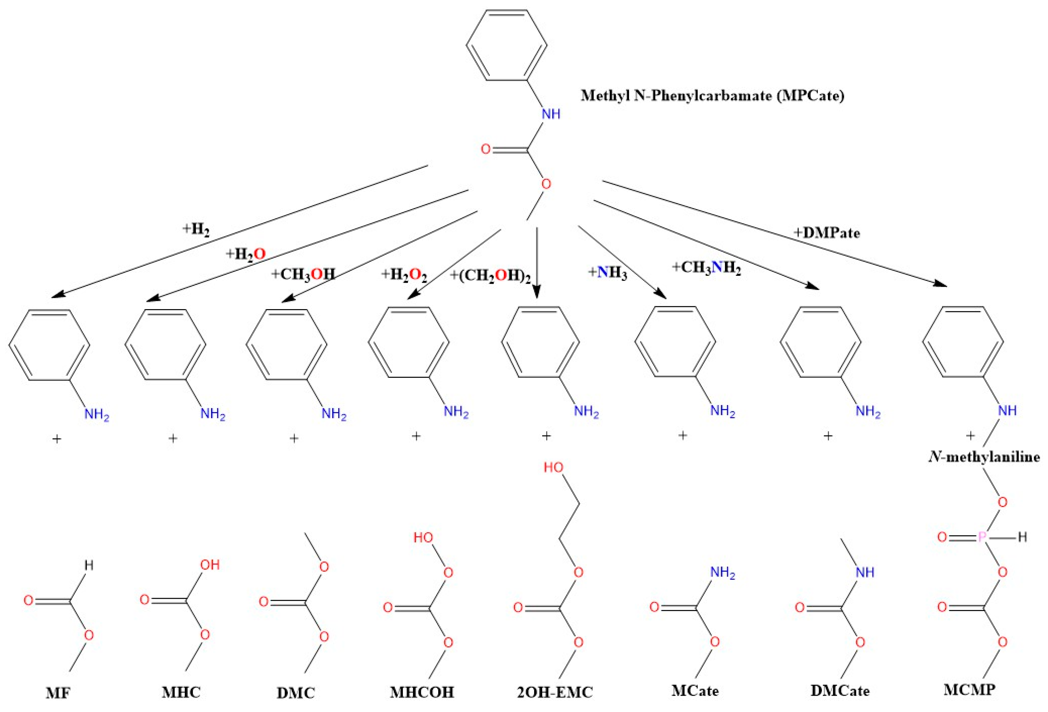 Polymers 16 01126 g001