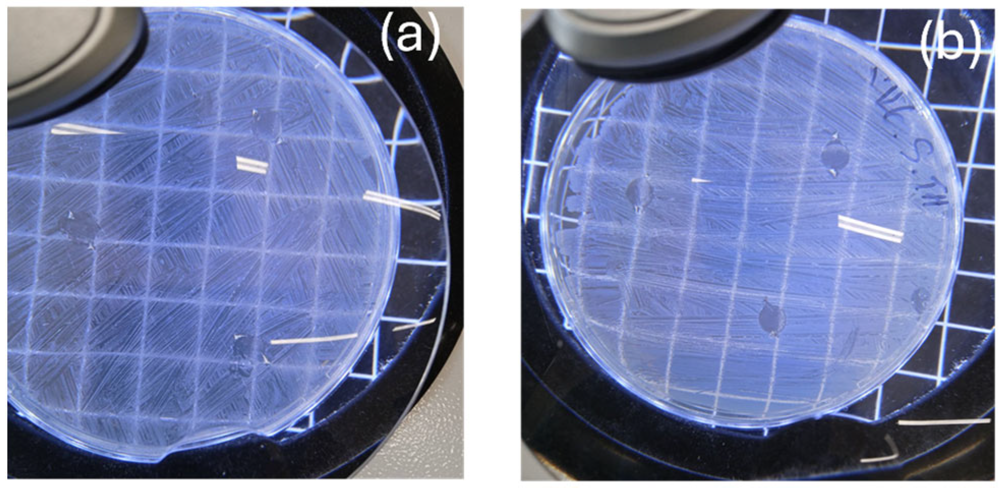 Polymers 16 01130 g005