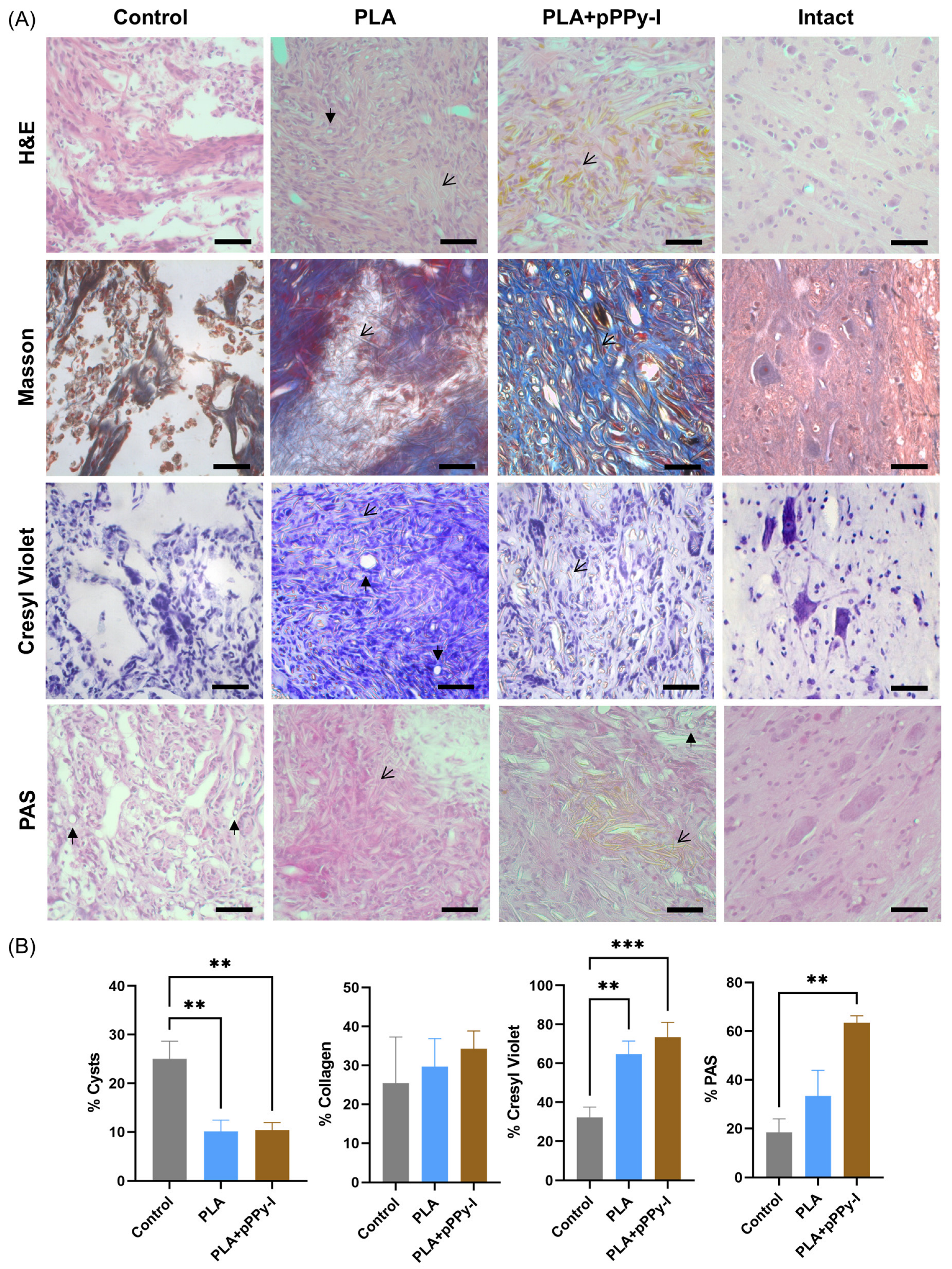 Polymers 16 01133 g007