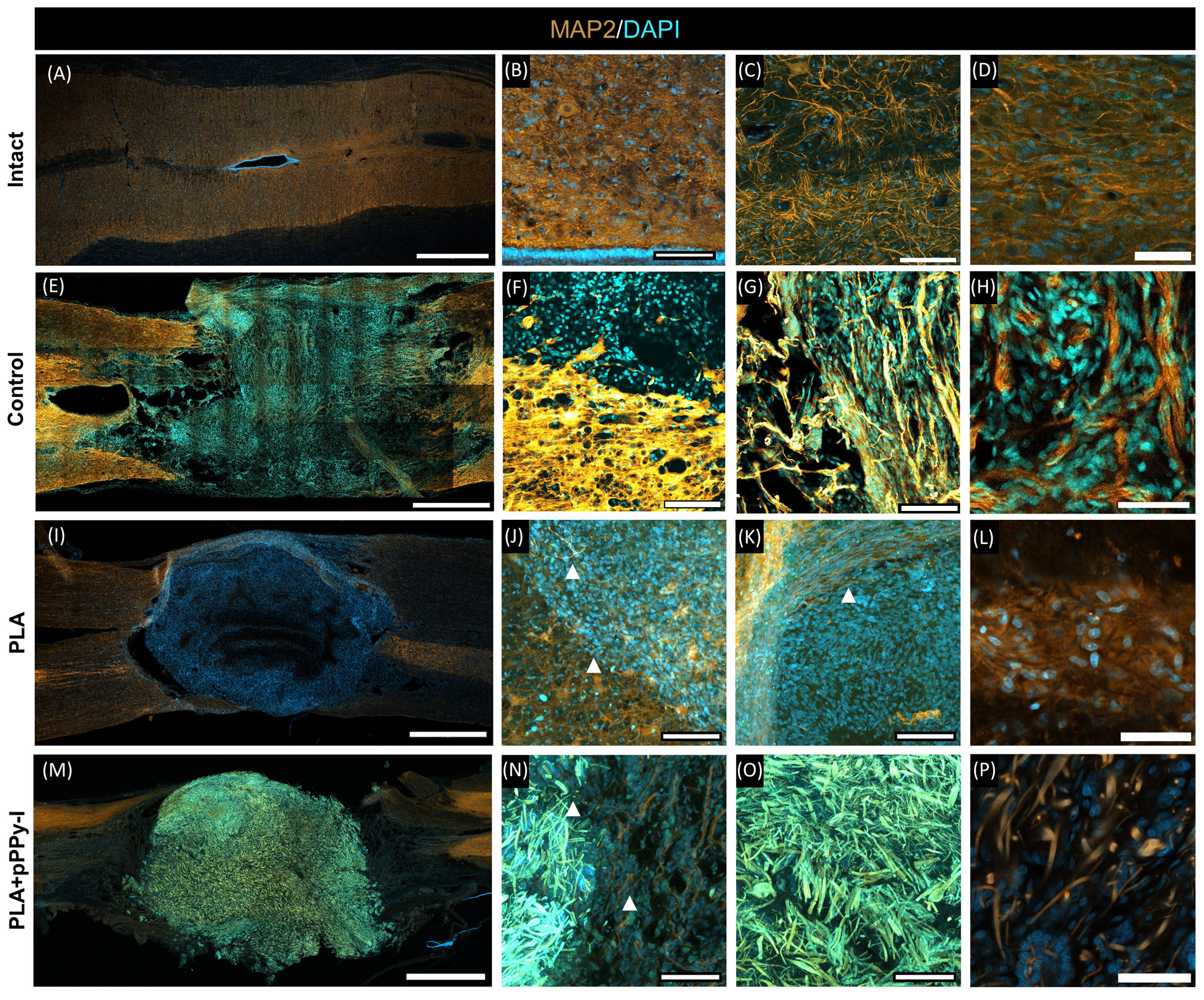 Polymers 16 01133 g009