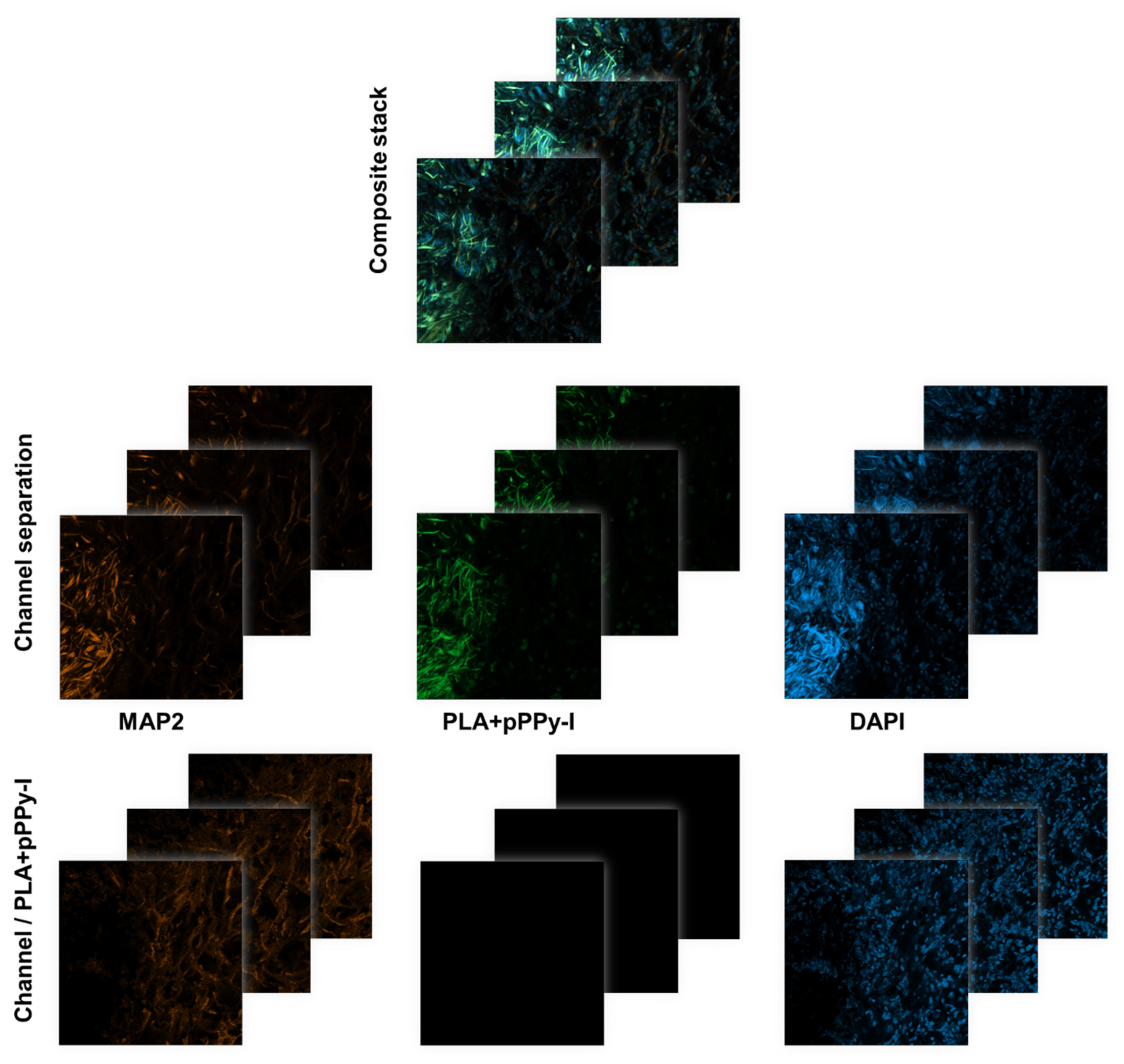 Polymers 16 01133 g010