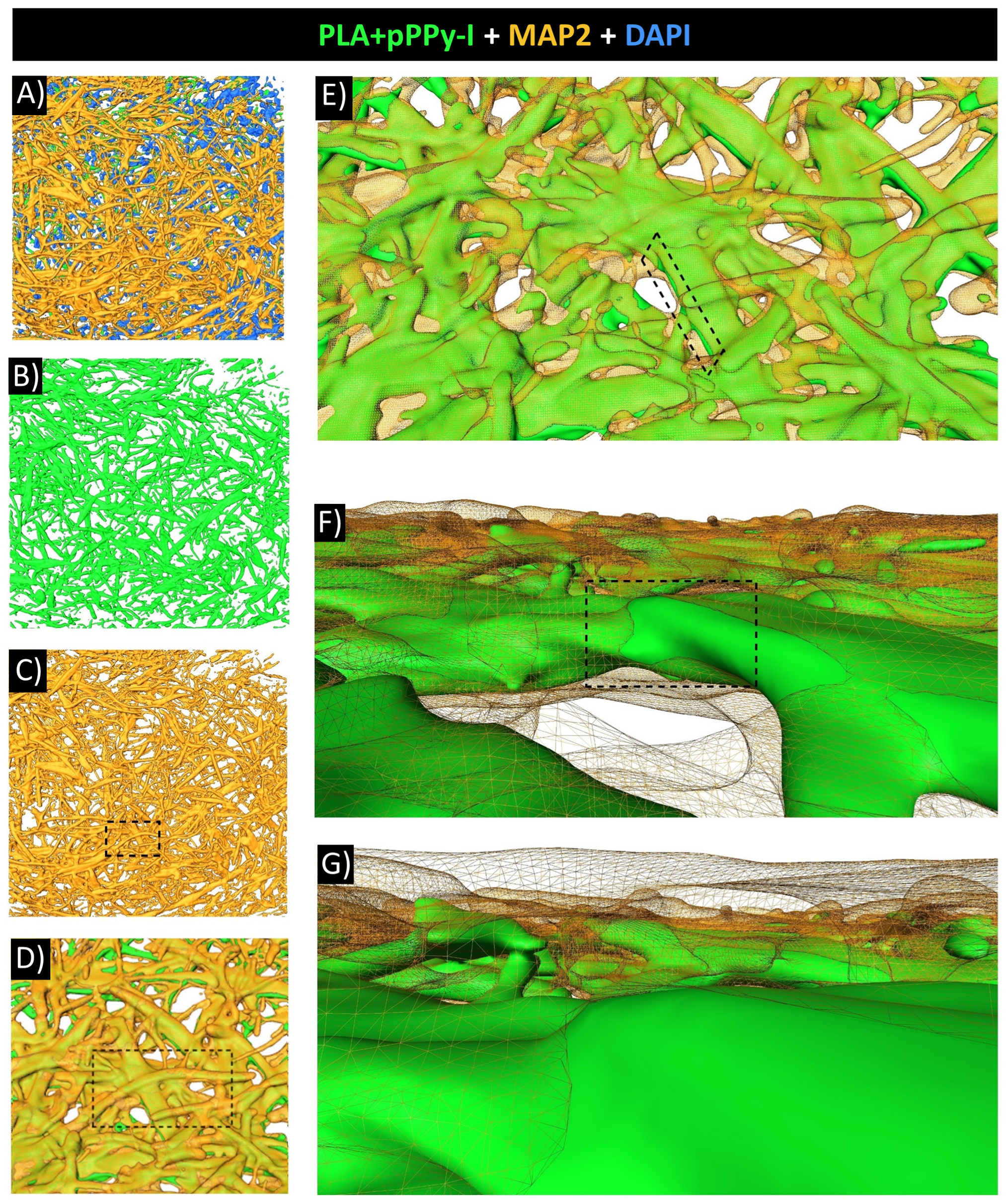 Polymers 16 01133 g012