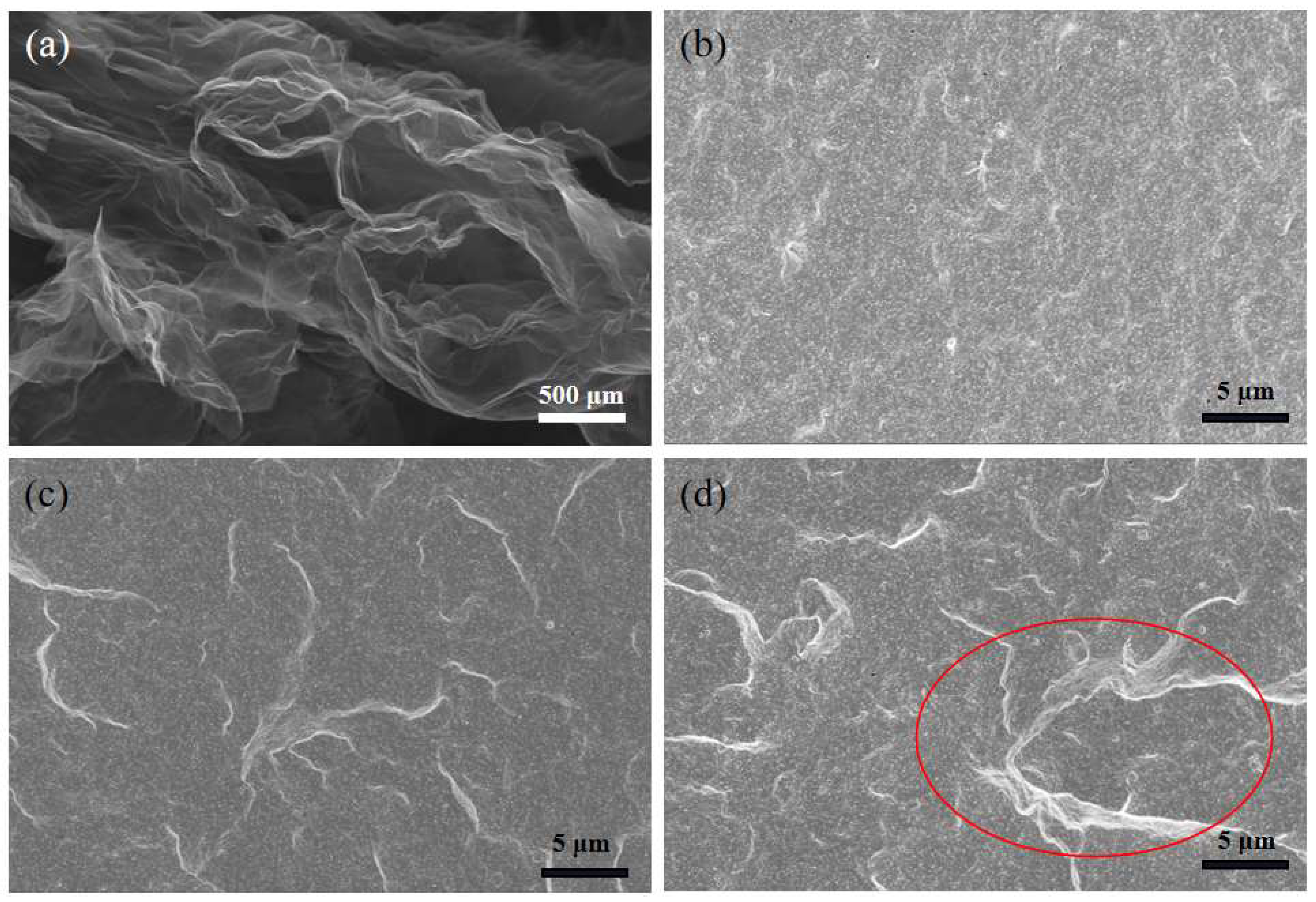 Polymers 16 01143 g009