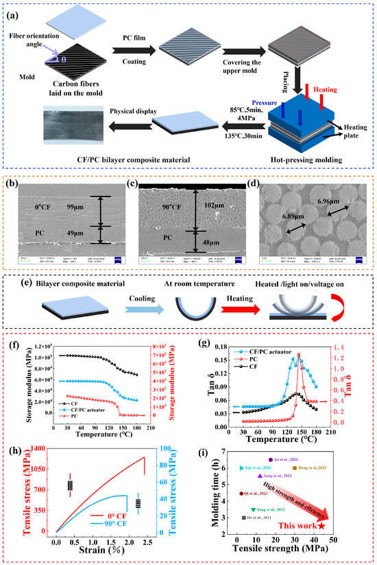 Polymers 16 01144 g003
