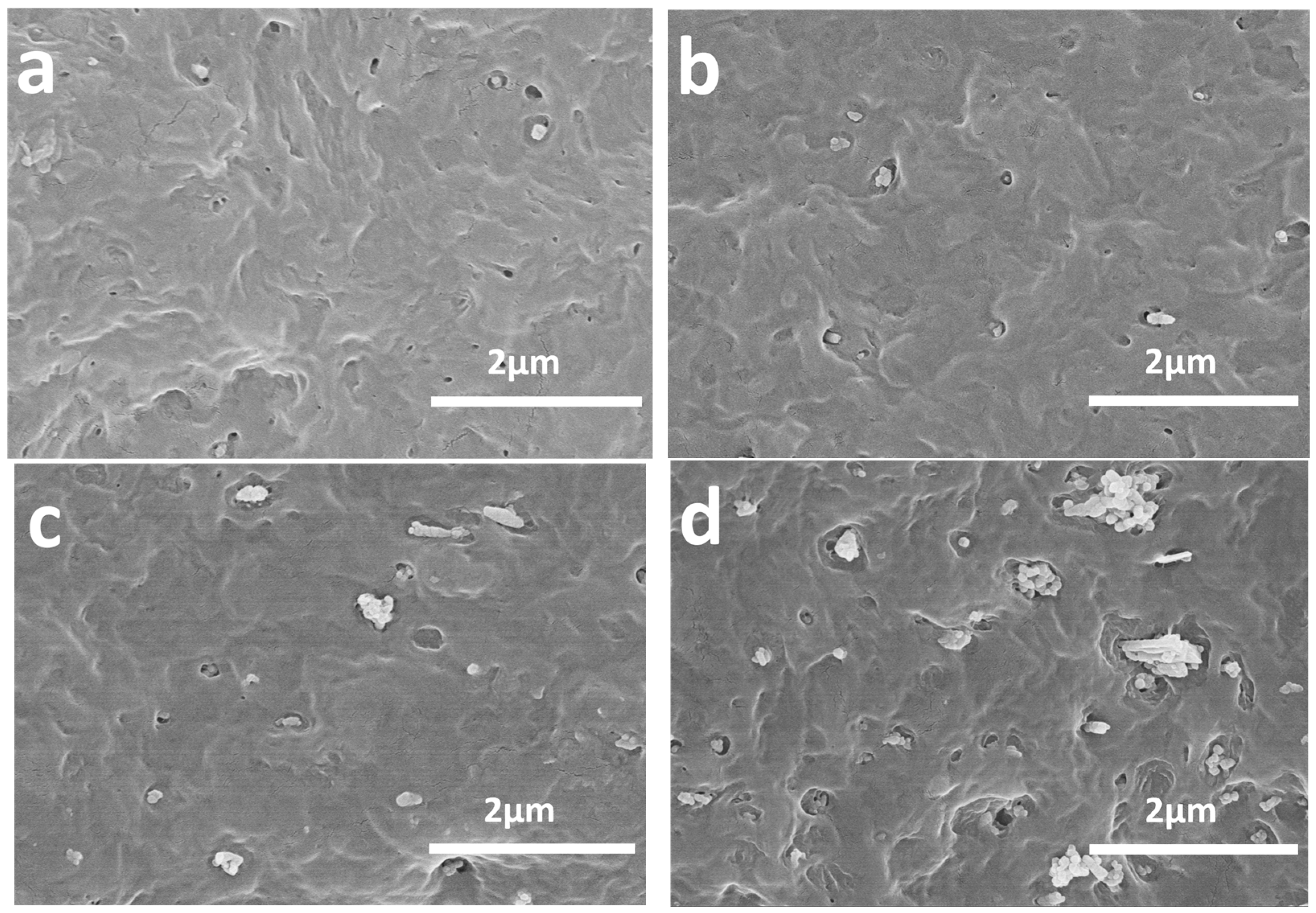 Polymers 16 01146 g002