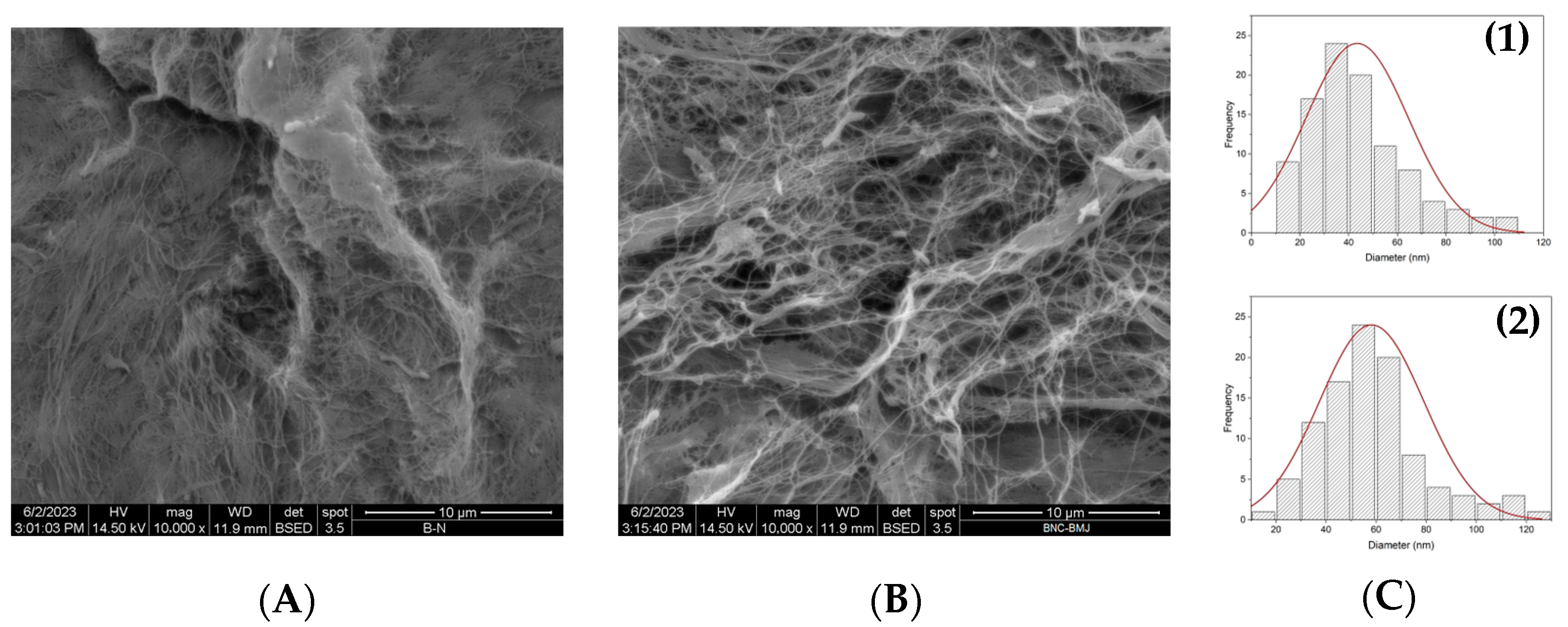 Polymers 16 01157 g004