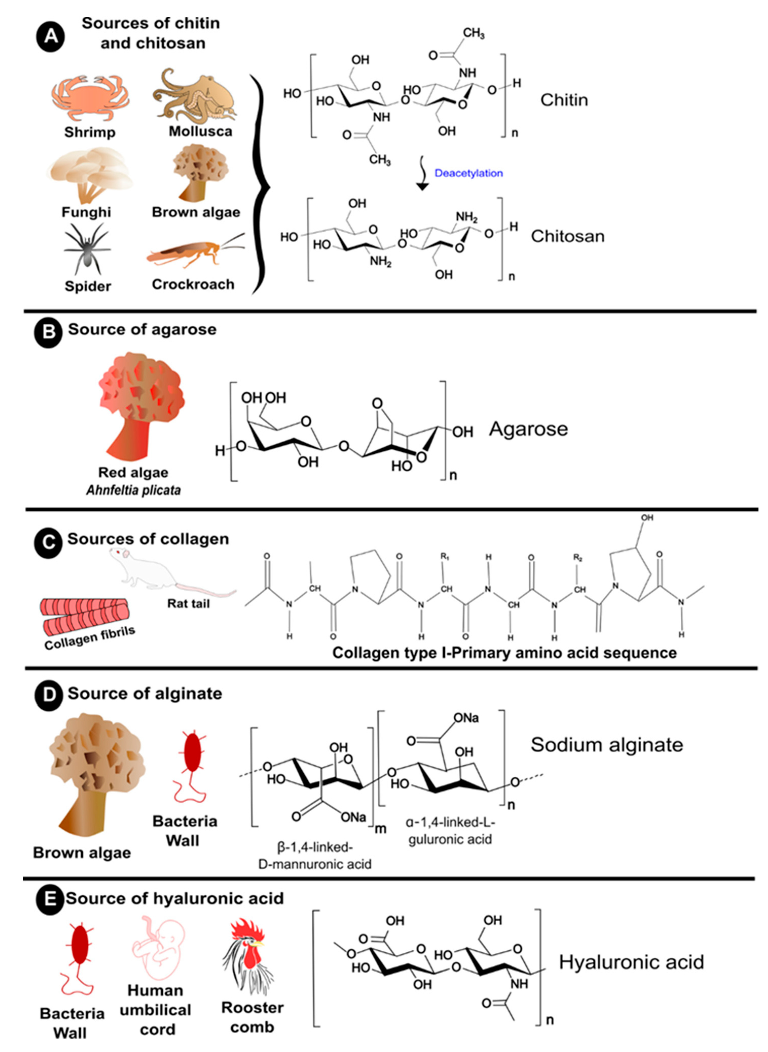 Polymers 16 01159 g006