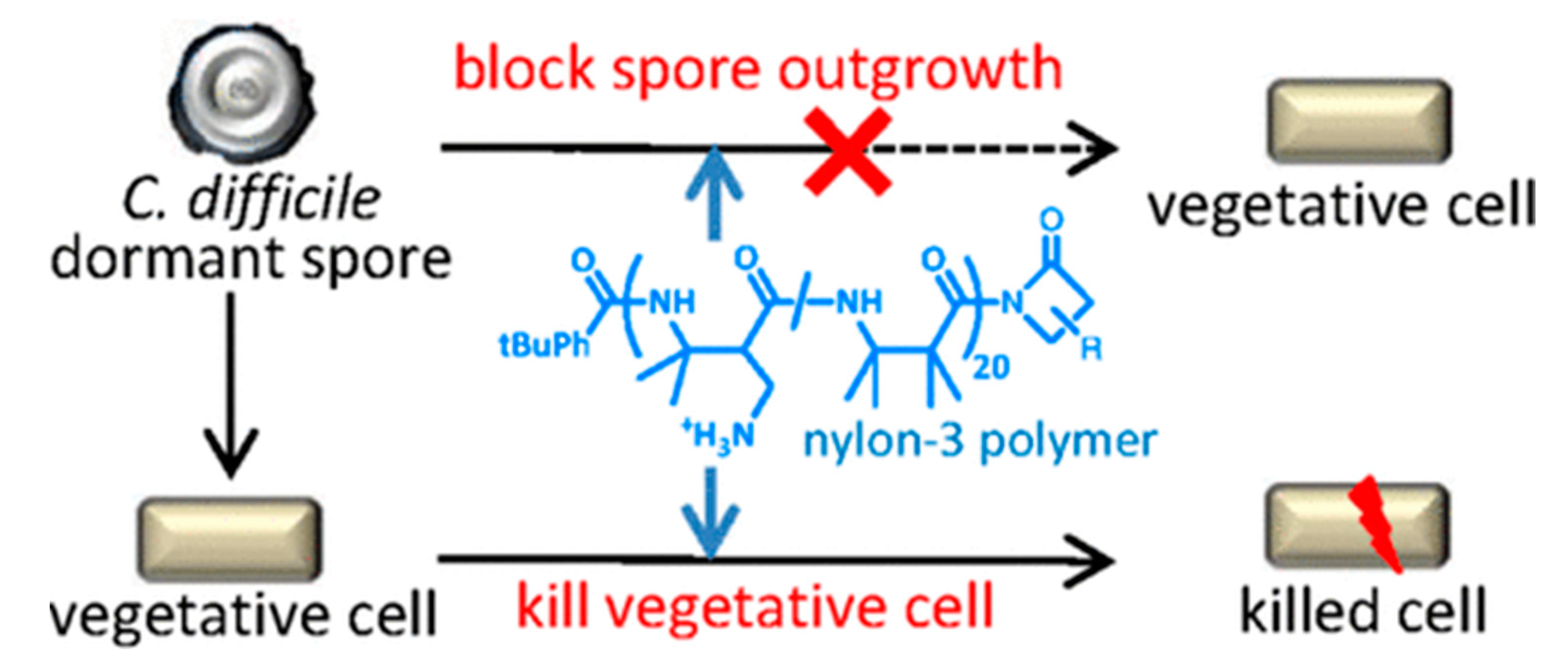 Polymers 16 01159 g011