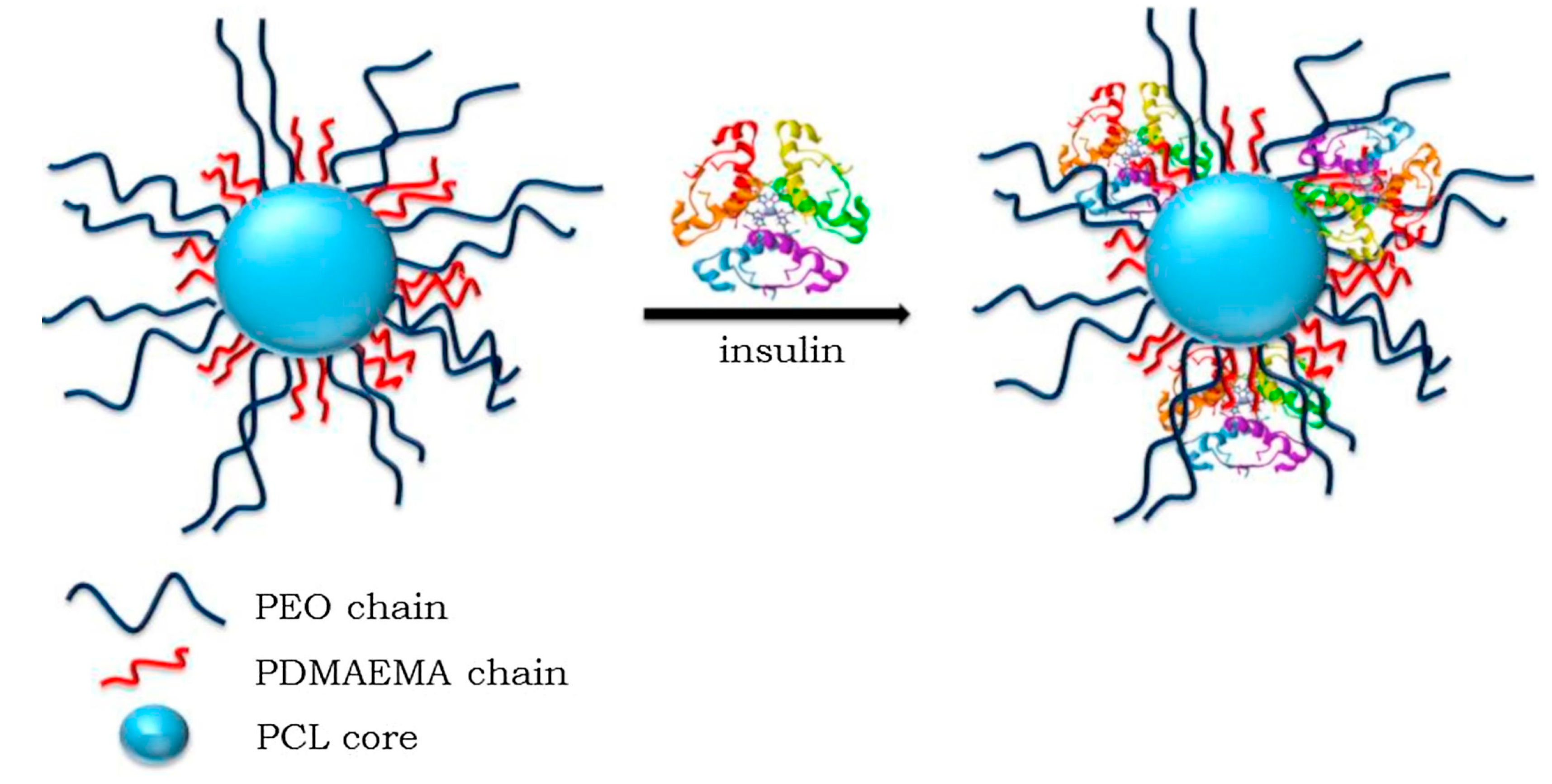 Polymers 16 01159 g012