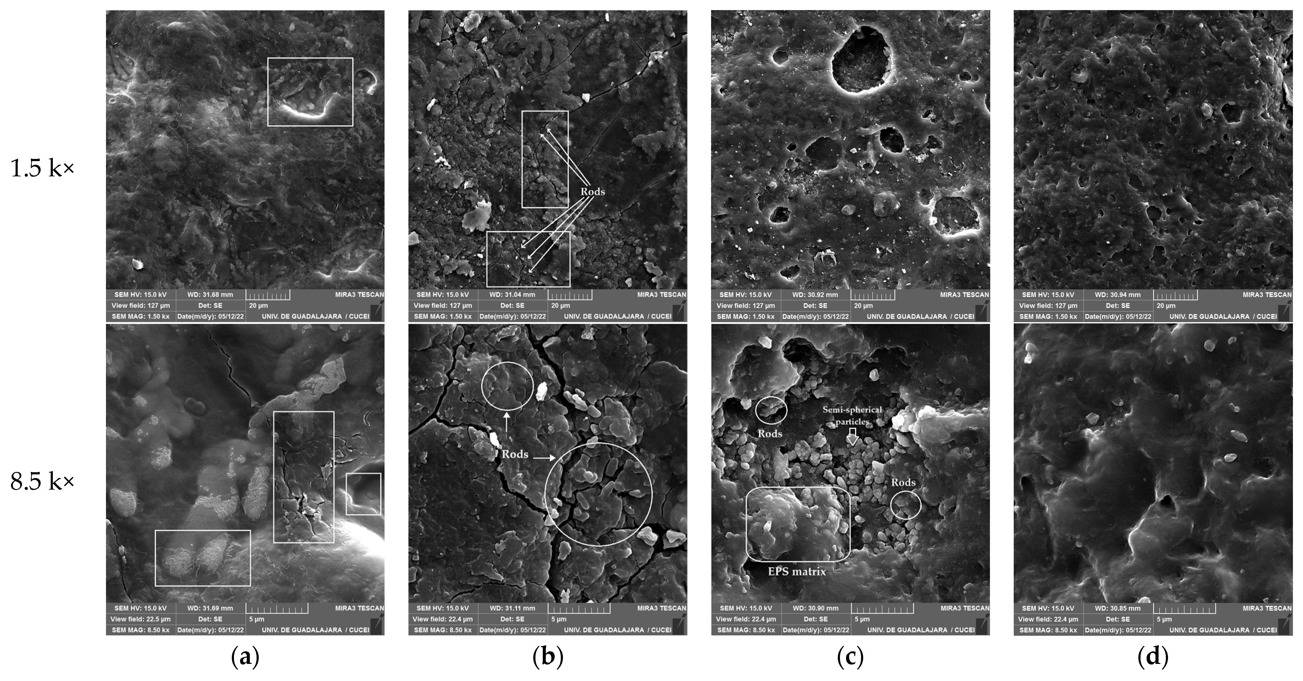 Polymers 16 01162 g007