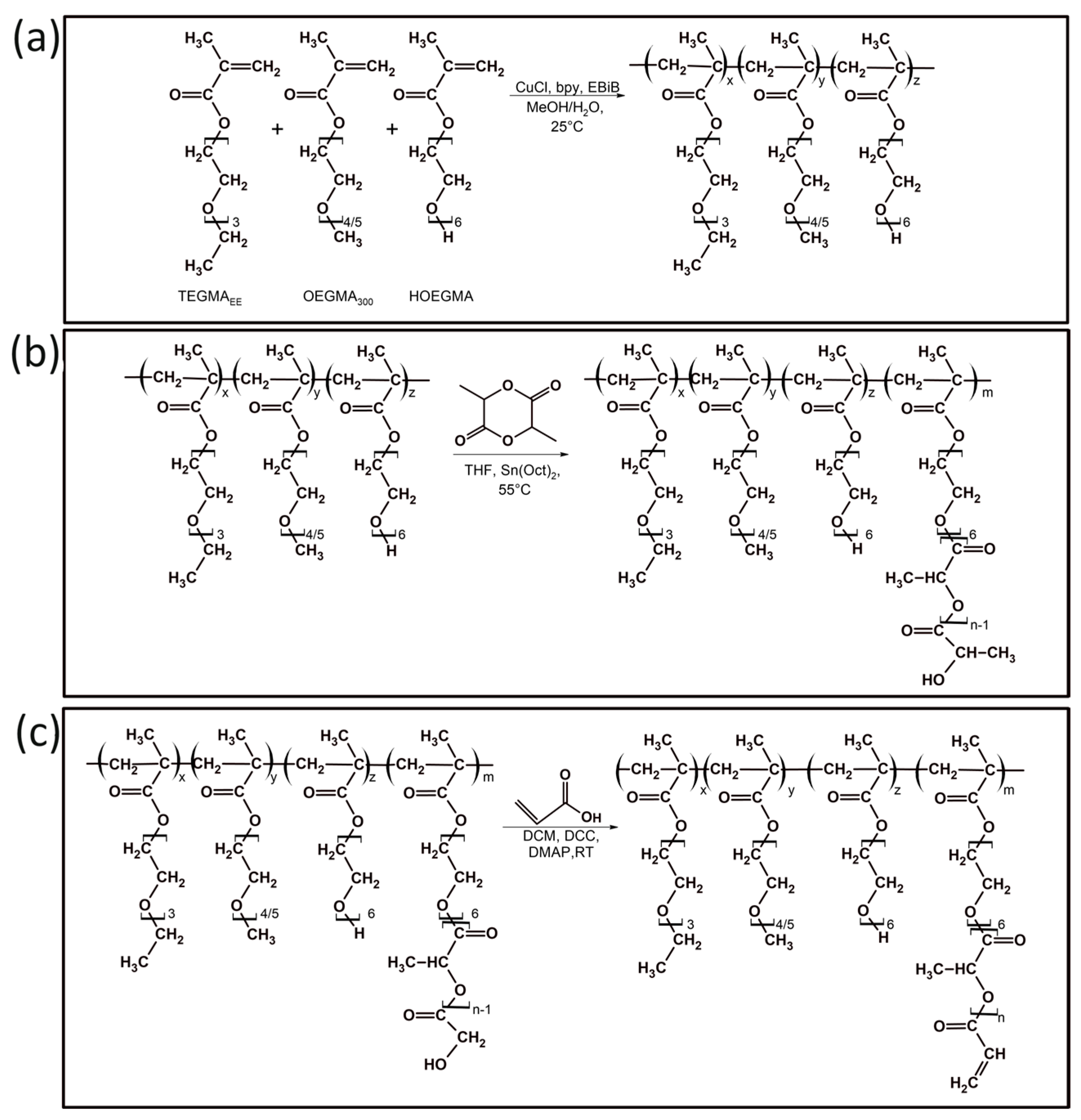 Polymers 16 01163 g001