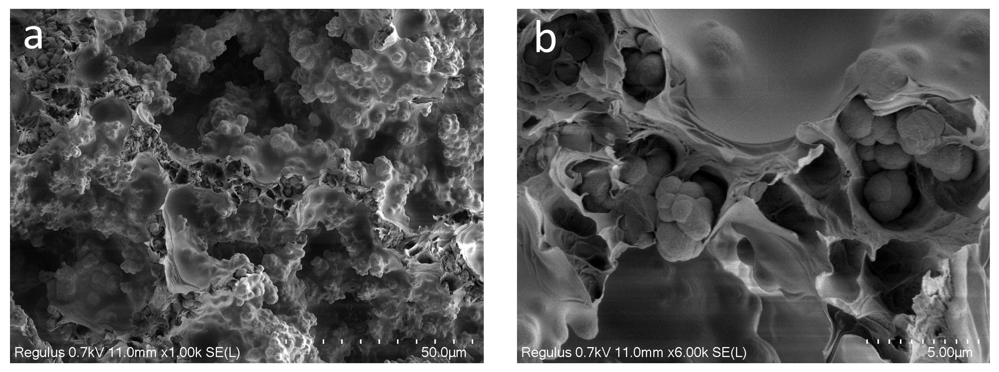Polymers 16 01165 g003