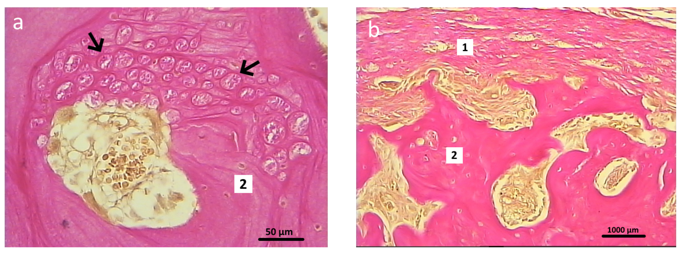 Polymers 16 01165 g011