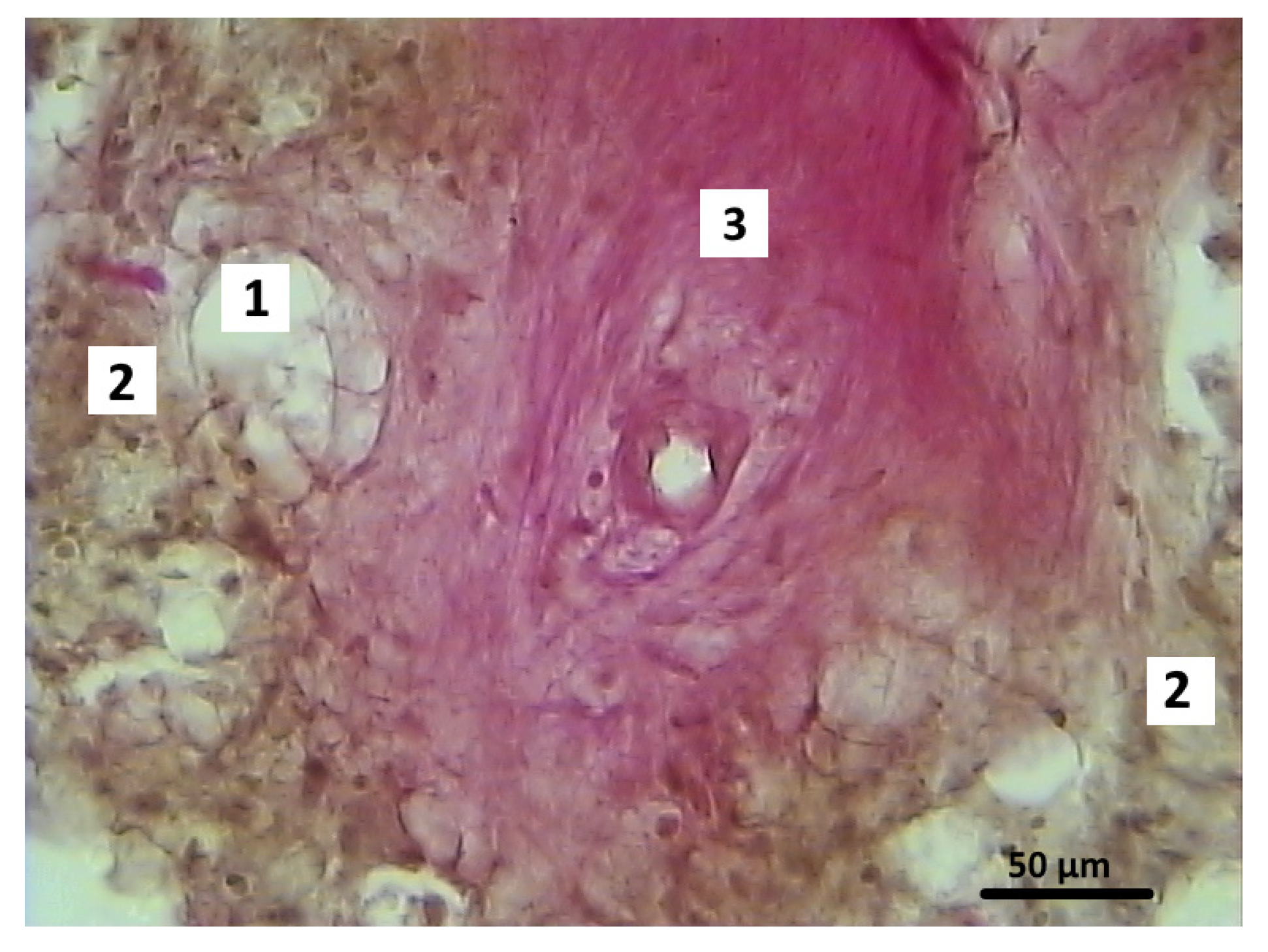 Polymers 16 01165 g013