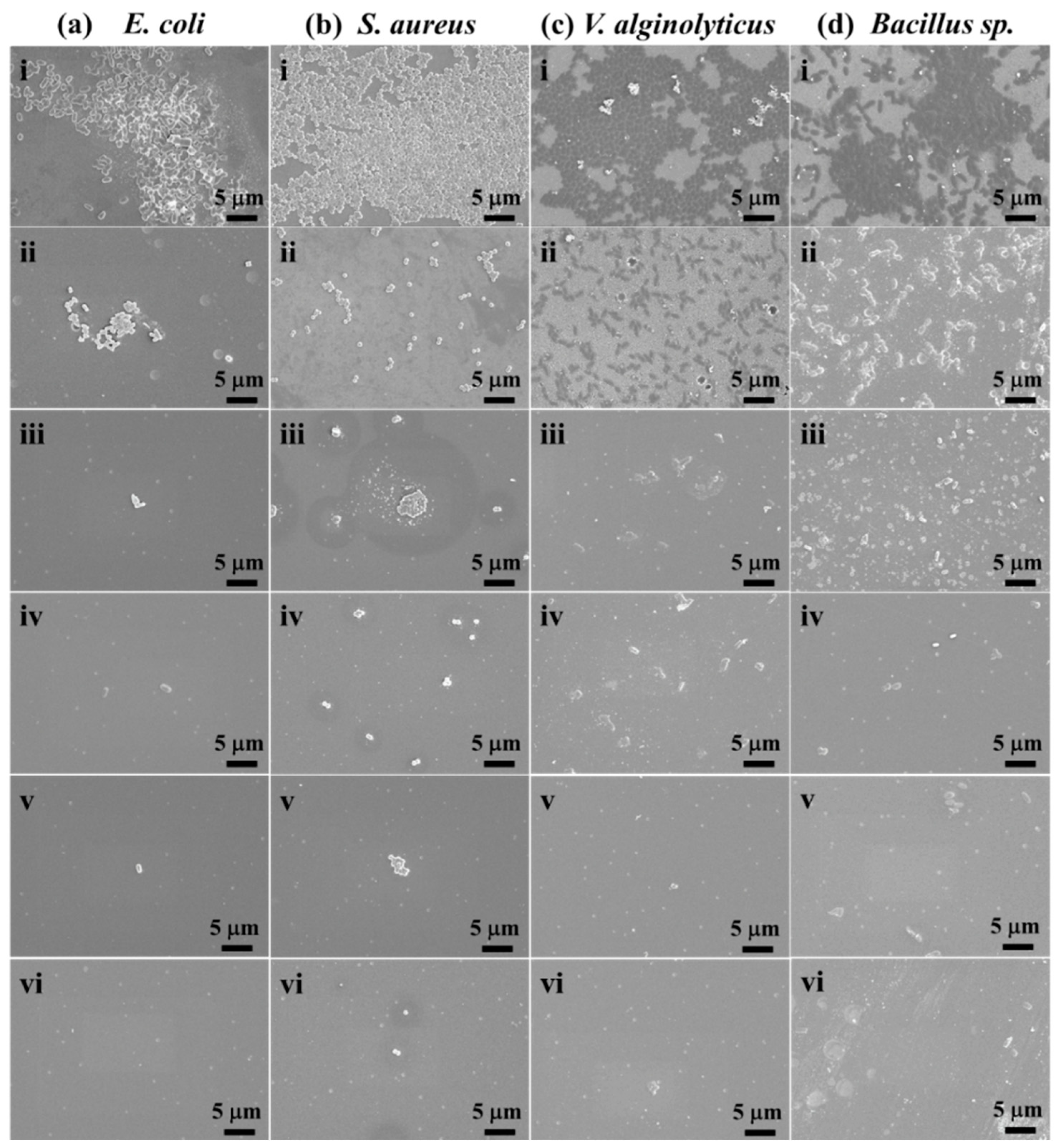 Polymers 16 01167 g009 Polymers 16 01167 g009