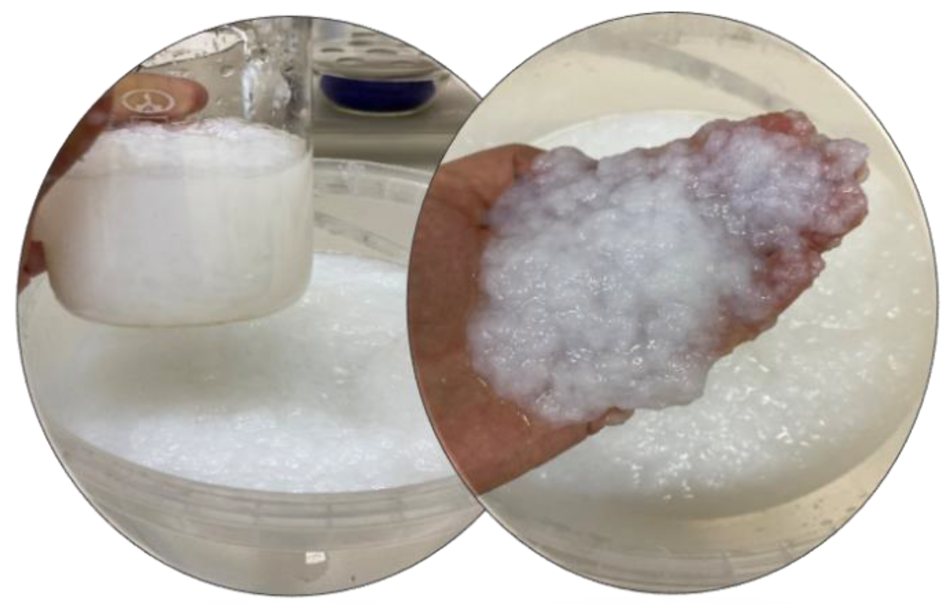 Polymers 16 01183 g001