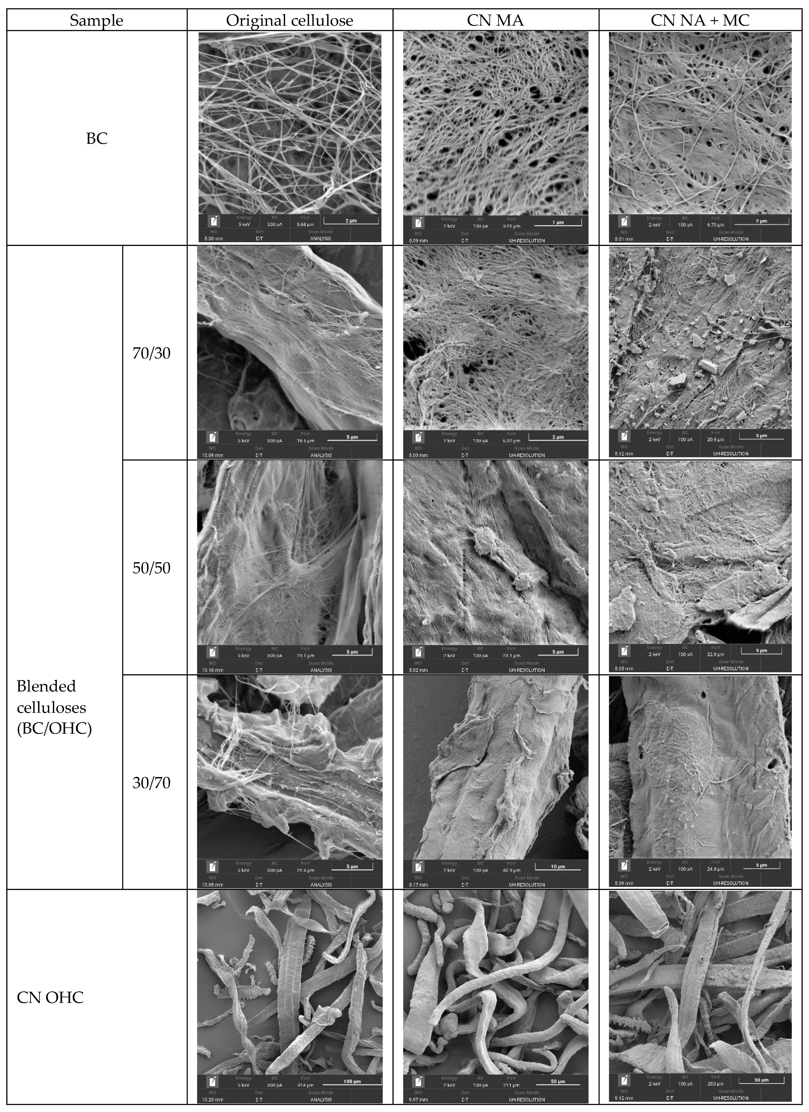 Polymers 16 01183 g003