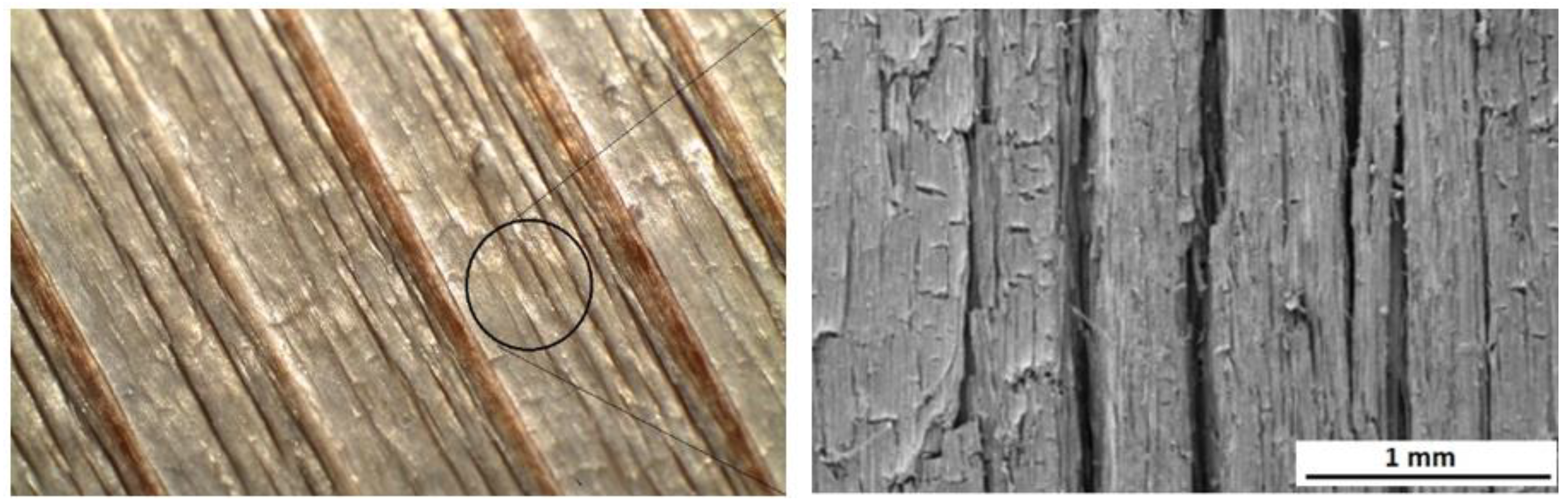 Polymers 16 01191 g012