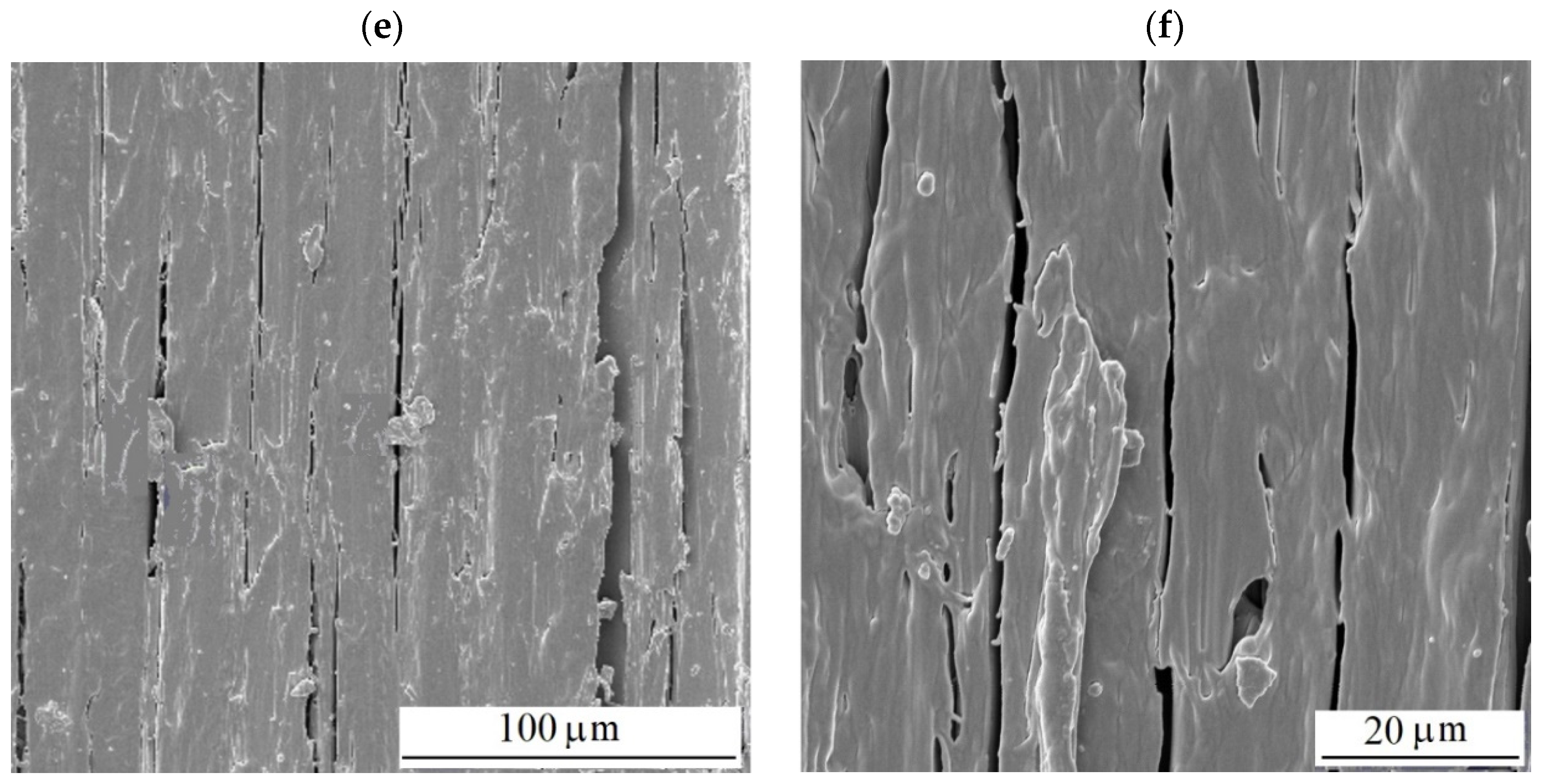 Polymers 16 01191 g014b