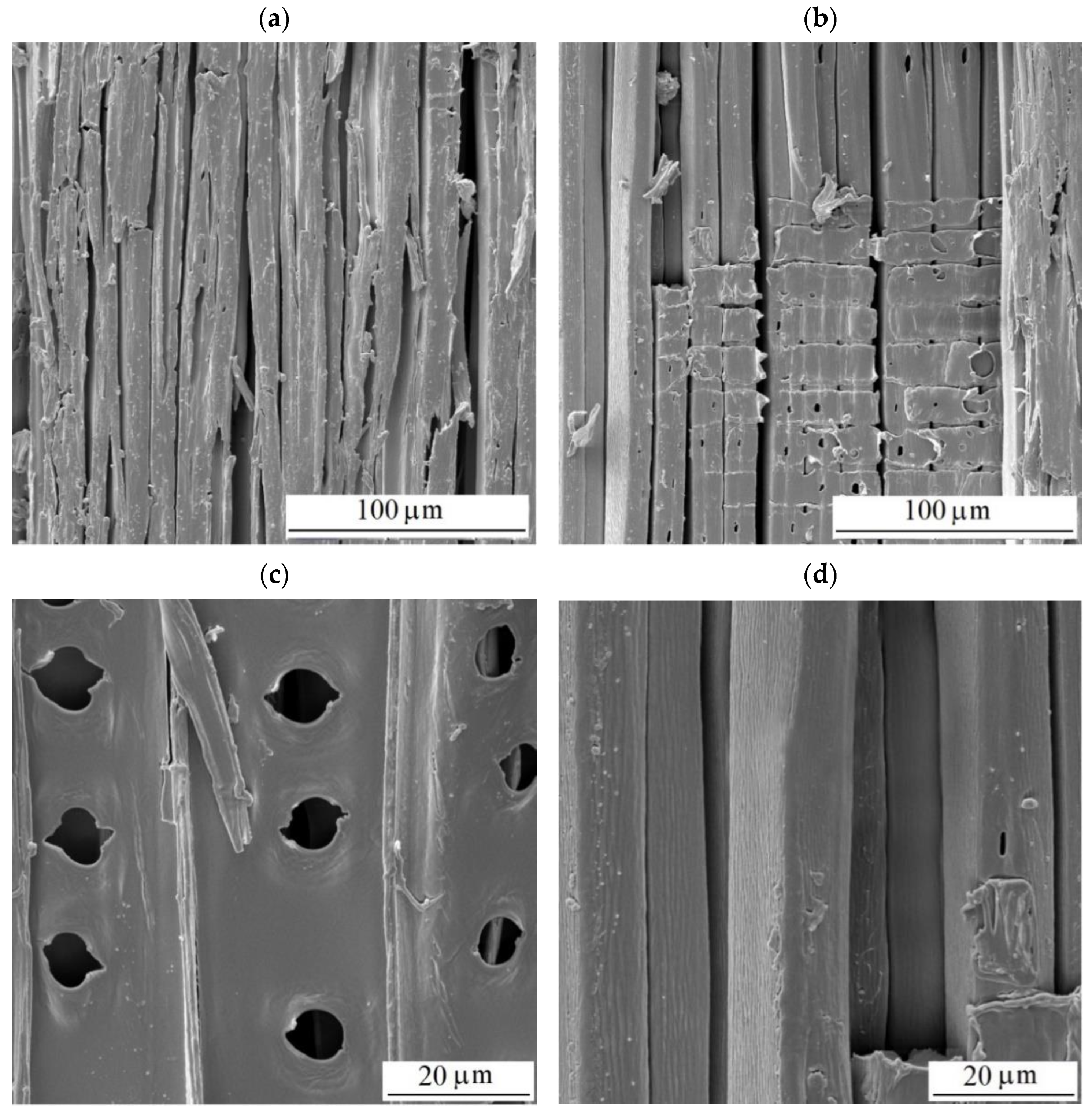 Polymers 16 01191 g015