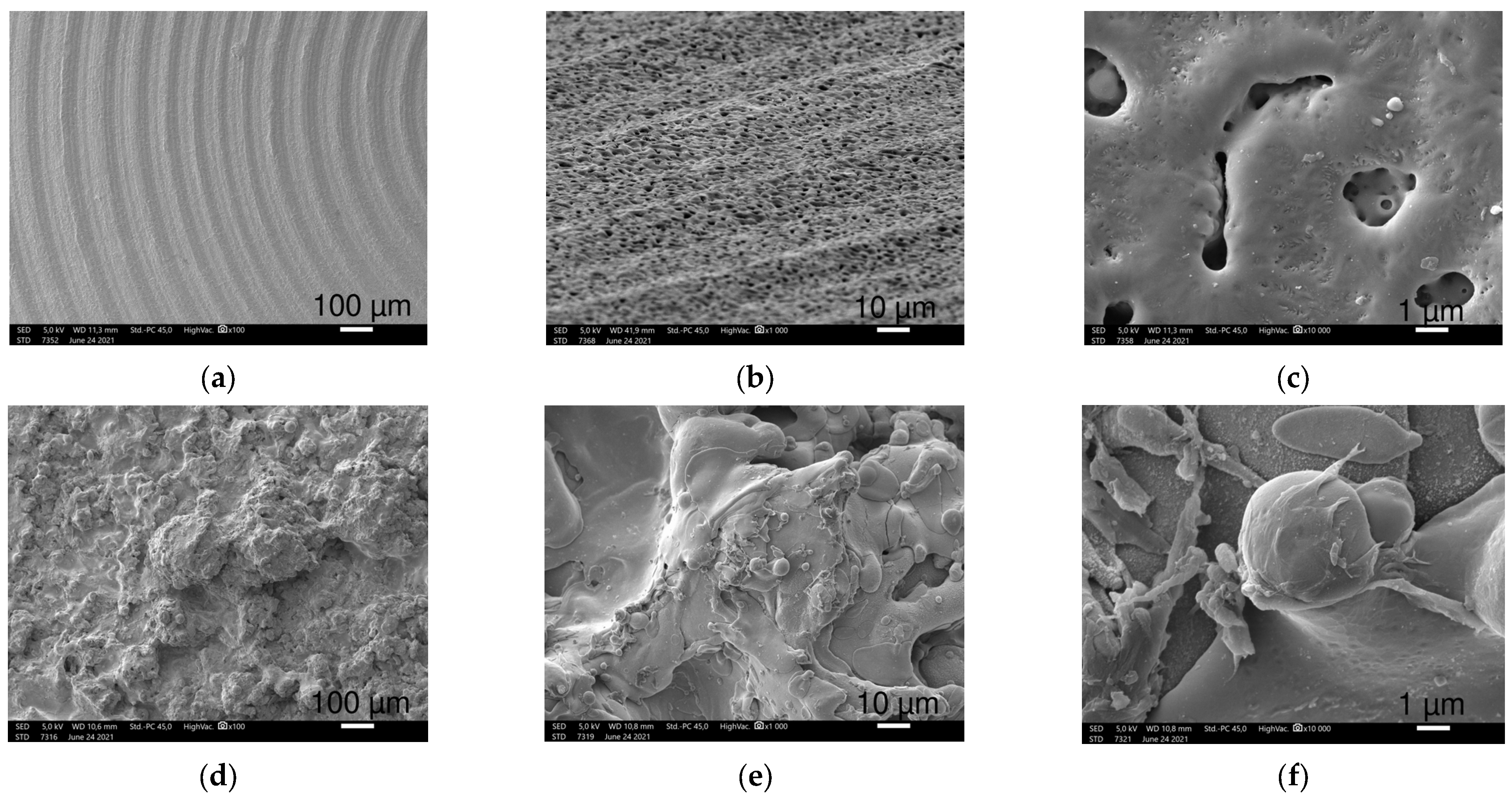 Polymers 16 01193 g001