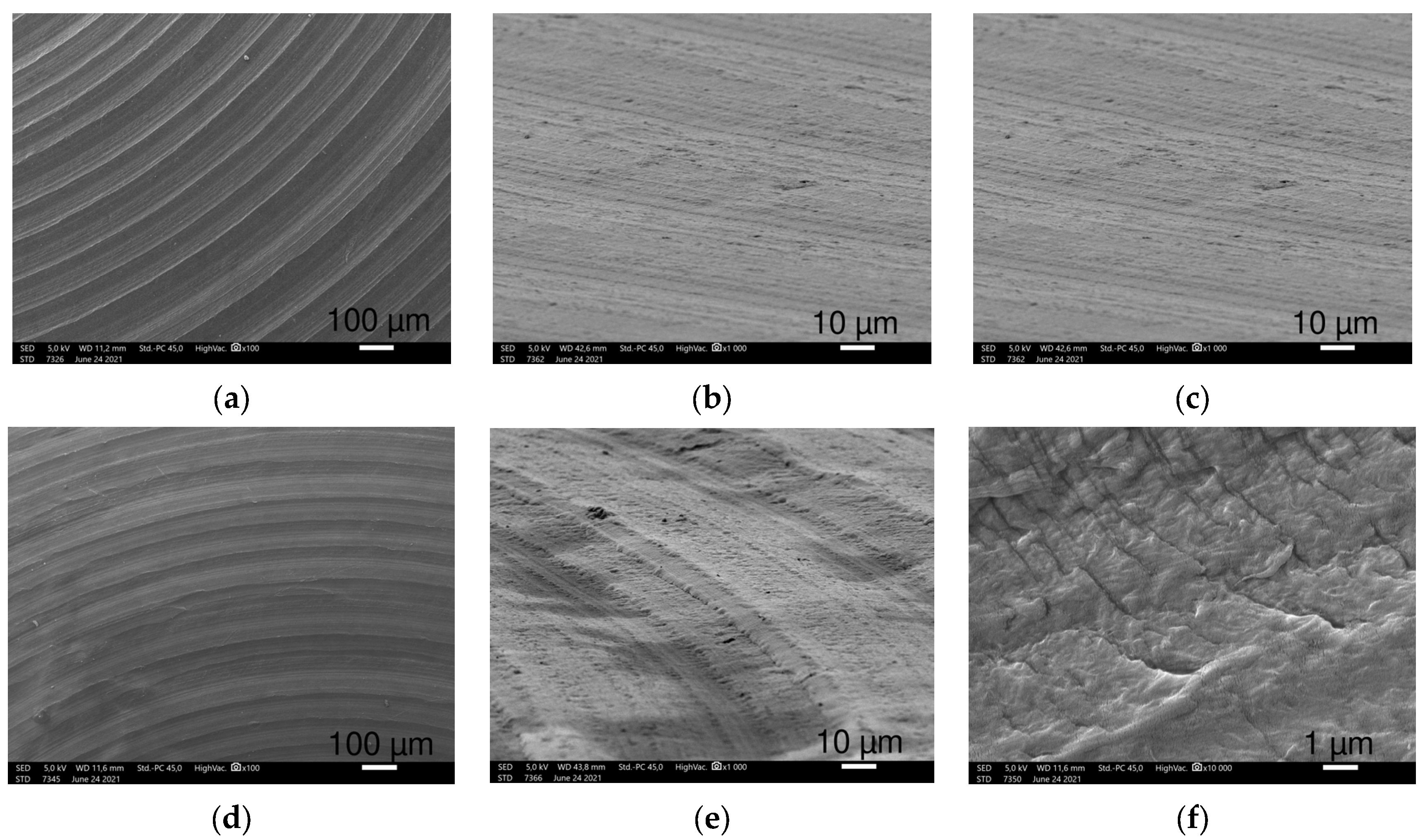 Polymers 16 01193 g003