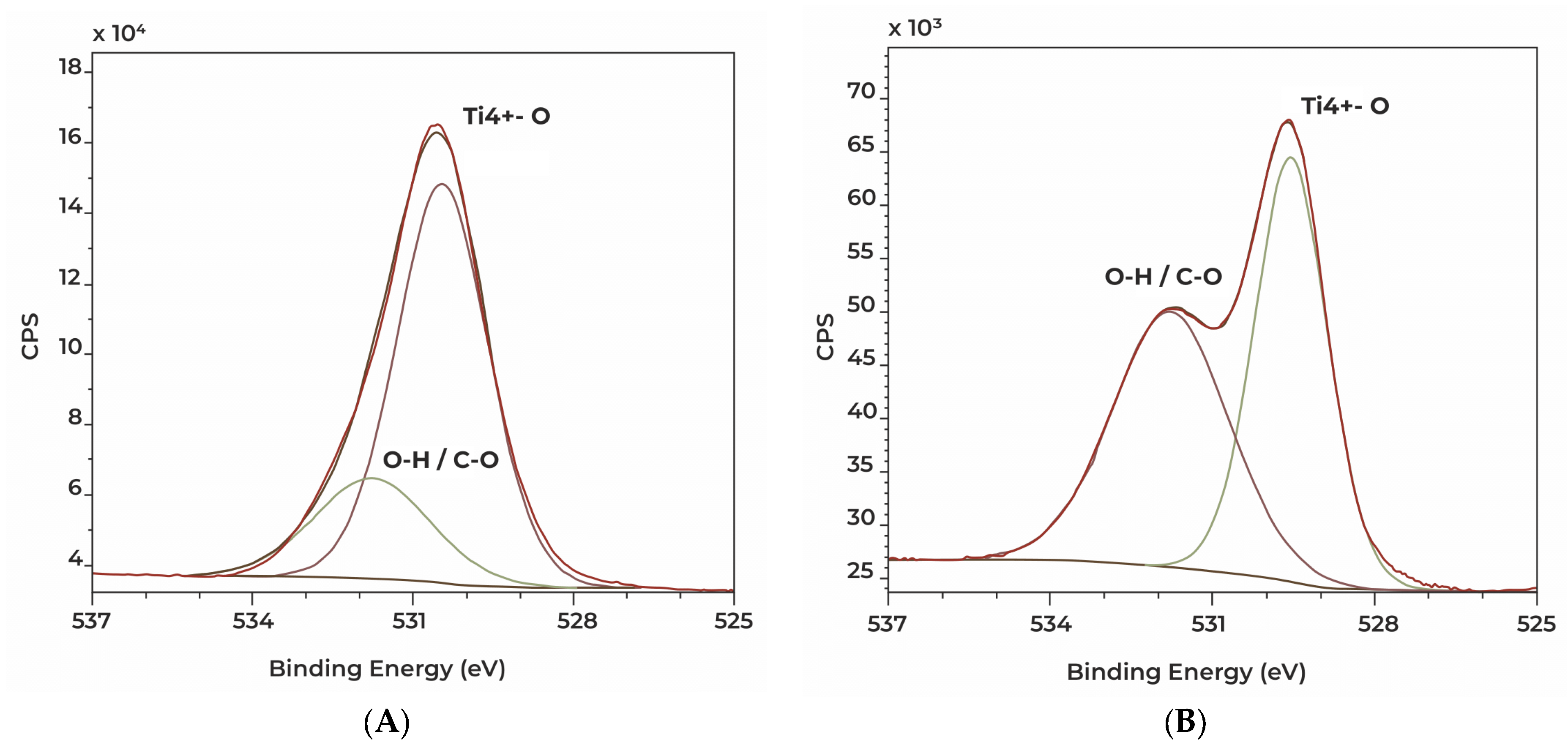 Polymers 16 01193 g010