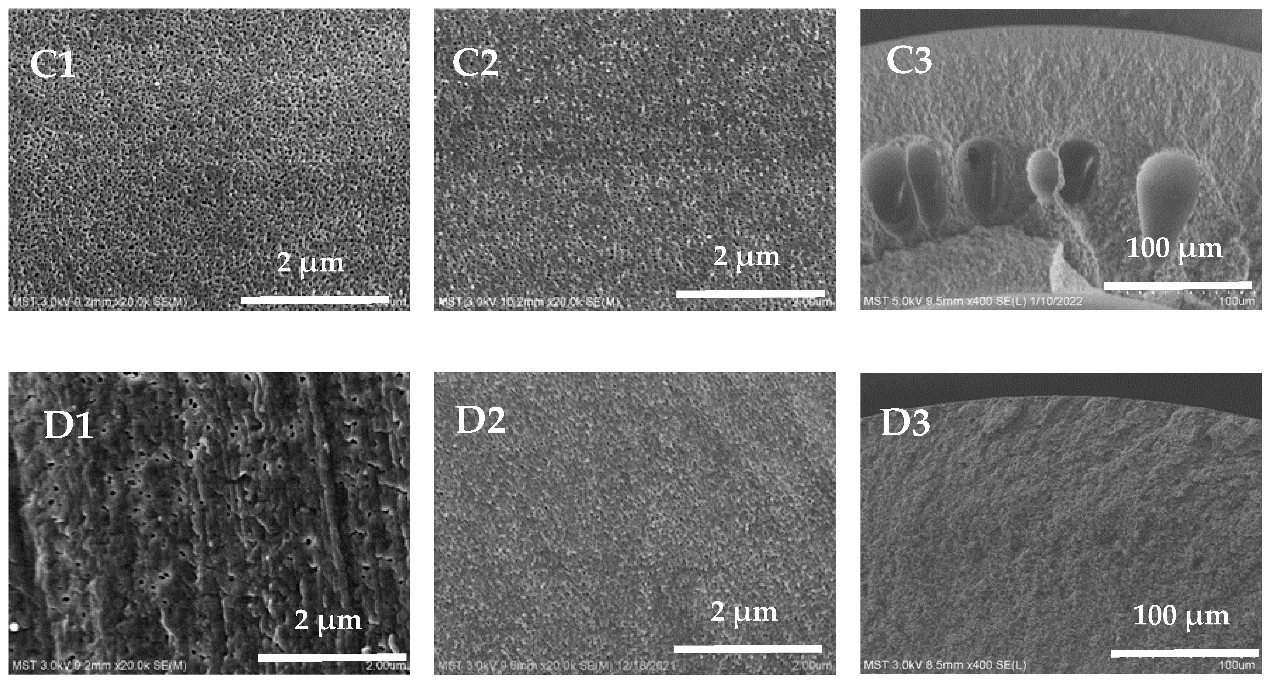 Polymers 16 01194 g004b