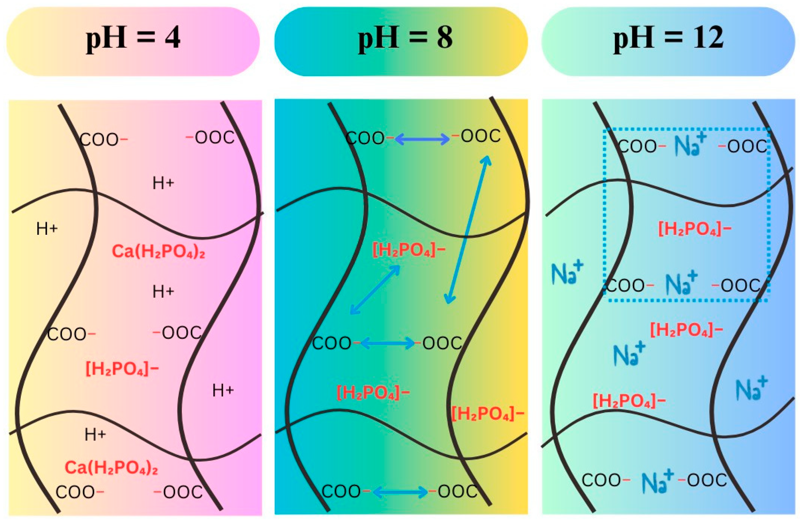 Polymers 16 01195 g011